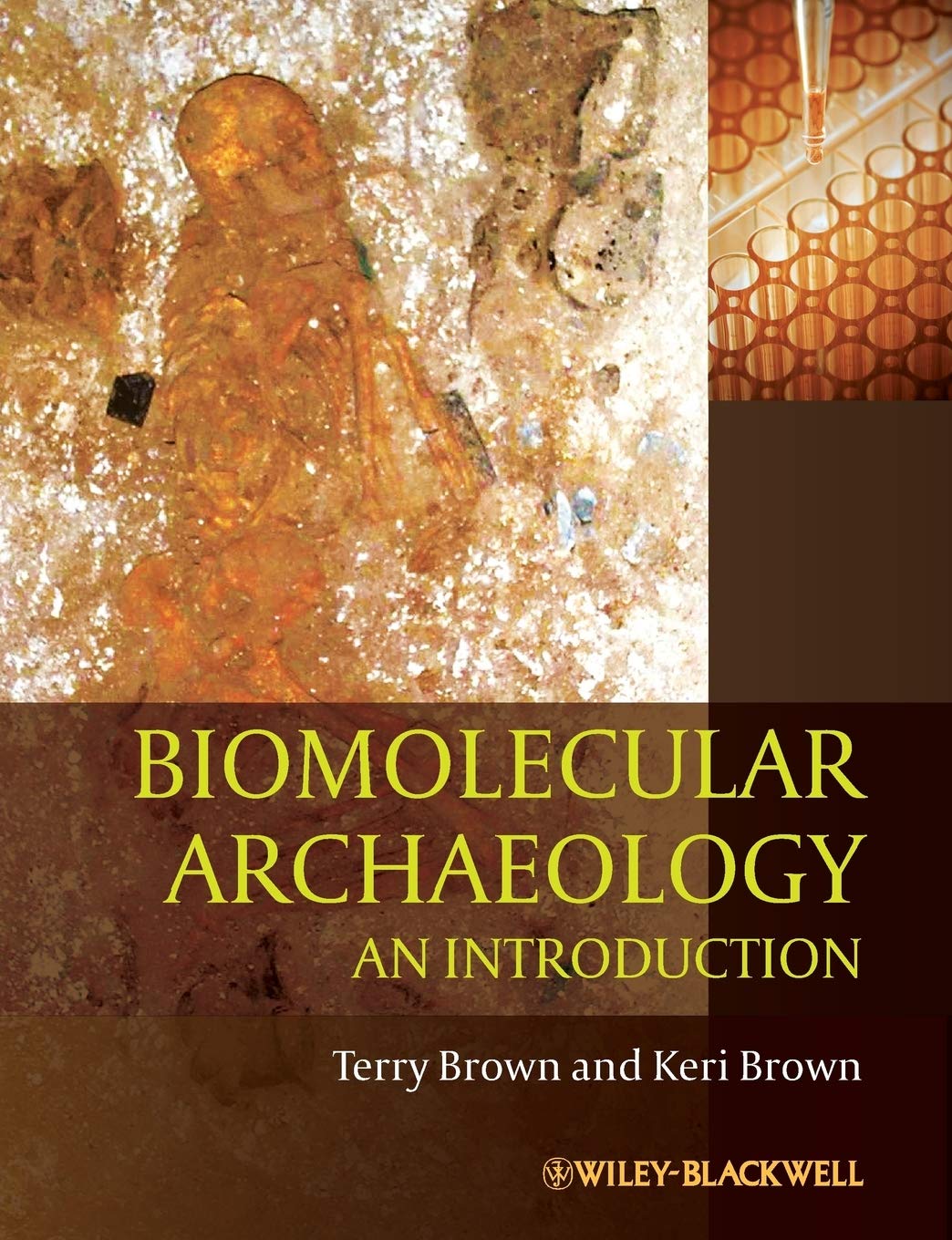 Biomolecular Archaeology: An Introduction