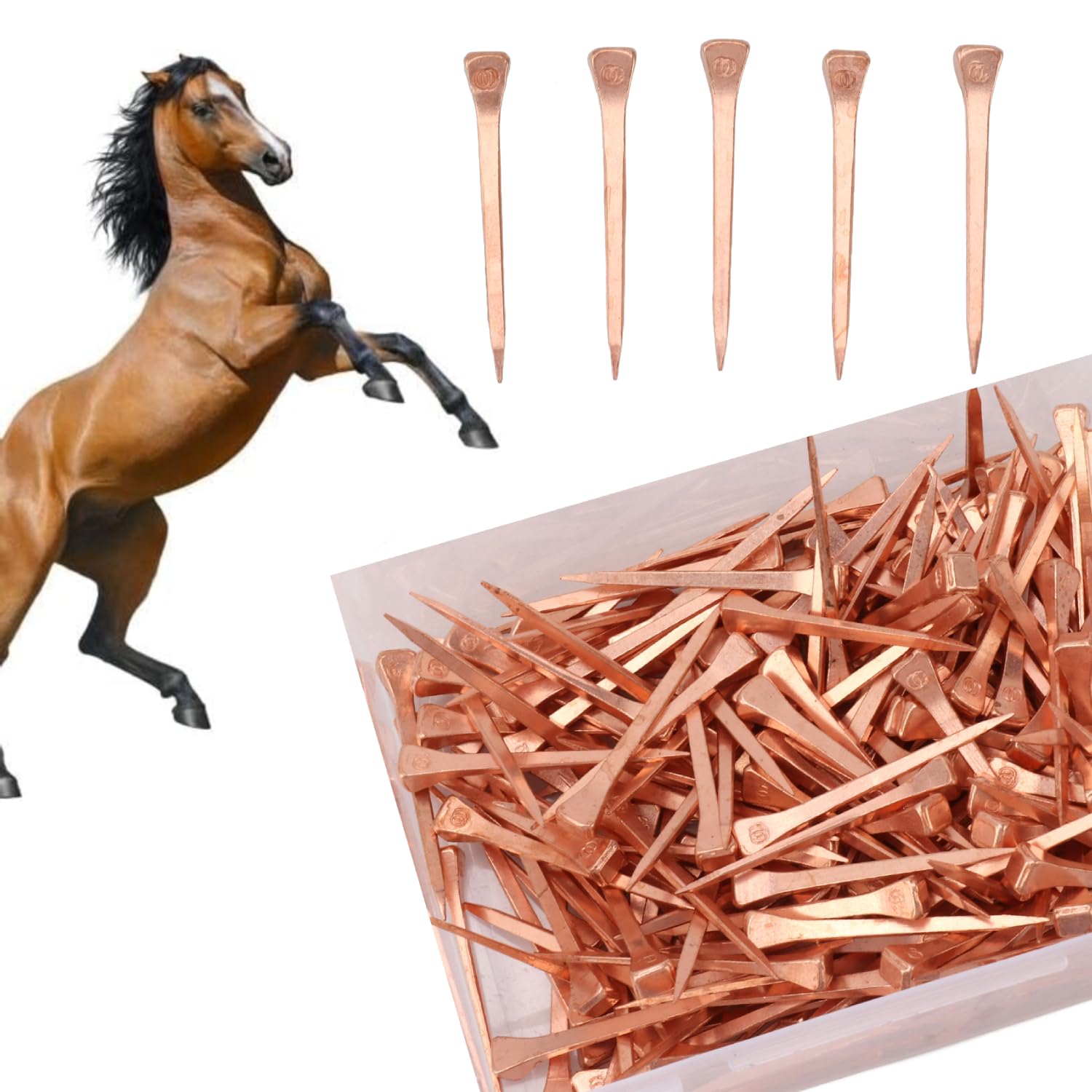 250Pcs Horseshoe Nail