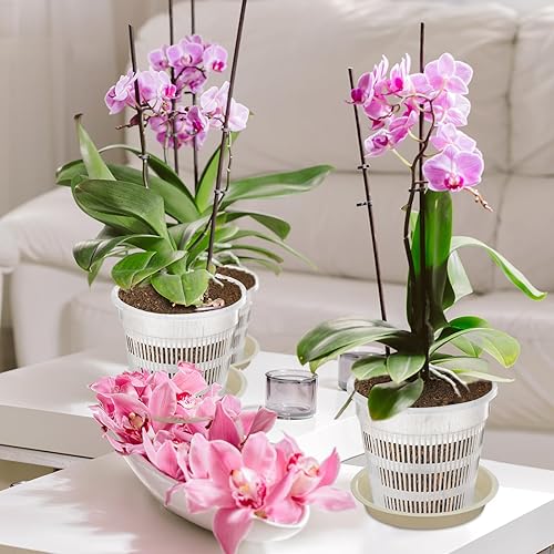 Miniatura 5 de Macetas de orquídeas de 4.55.567.5 pulgadas con agujeros y platillos, macetas de plástico transparente para jardín, trasplante de orquídeas, macetas
