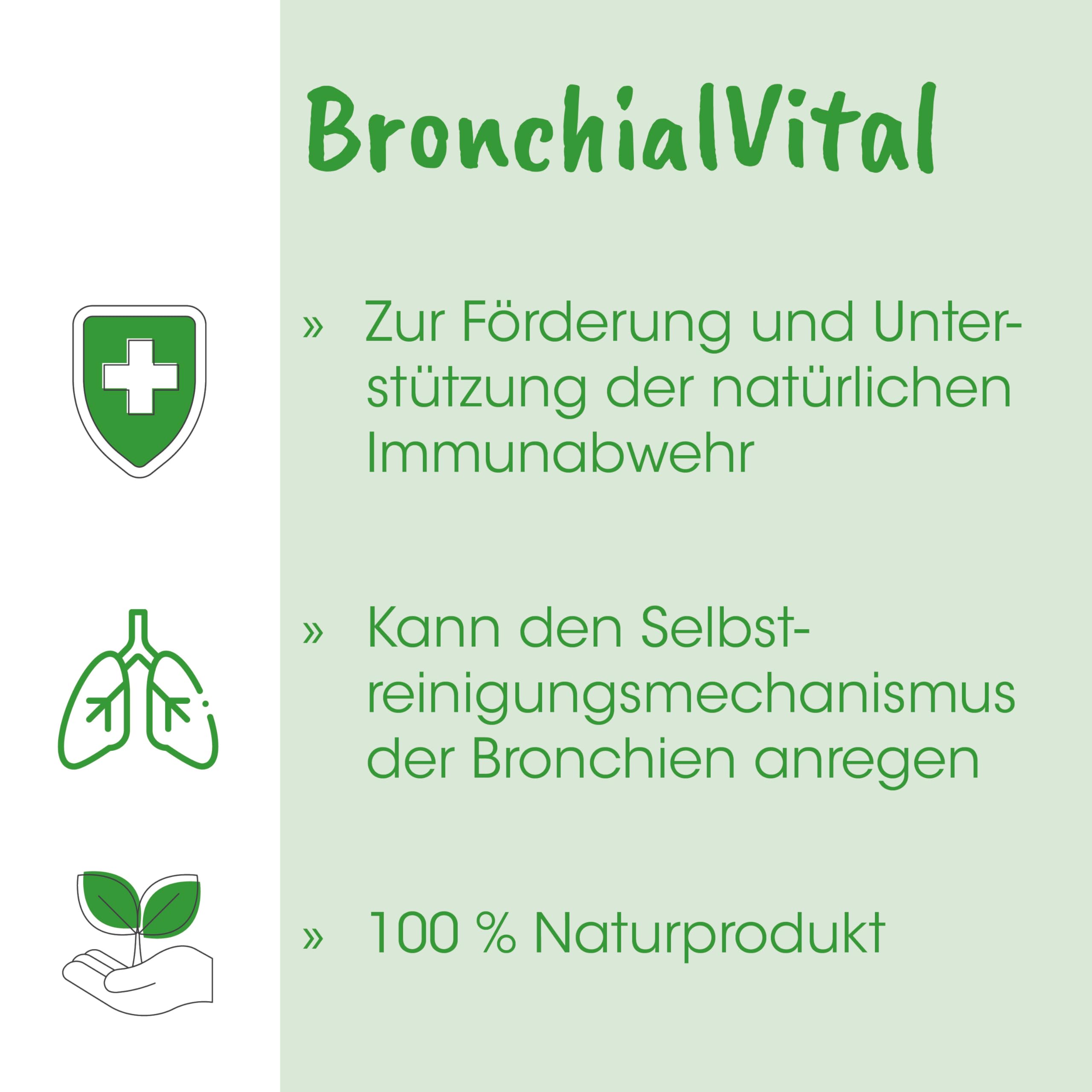 cdVet Natural Products CoughVet BronchialVital 500 ml - Perro - apoya la función respiratoria Superior y la condición respiratoria - Mecanismo de autolimpieza de los bronquios - Defensa inmune -