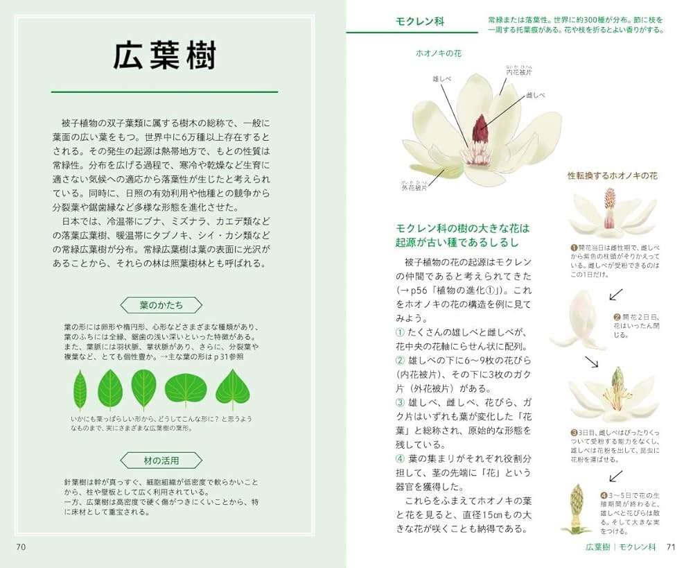 花図鑑 樹木 見わけがすぐつく樹木図鑑 | 宮内 泰之 |本 | 通販 | Amazon
