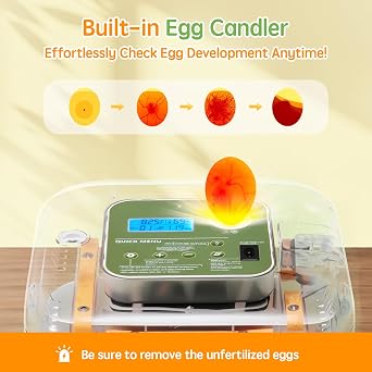 Incubator for Hatching Eggs Automatic Humidity and Temperature Control 12 Eggs Incubator, Digital Display Auto Turner 360 View Egg Candler for Chicken, Duck and Quail Bird Eggs