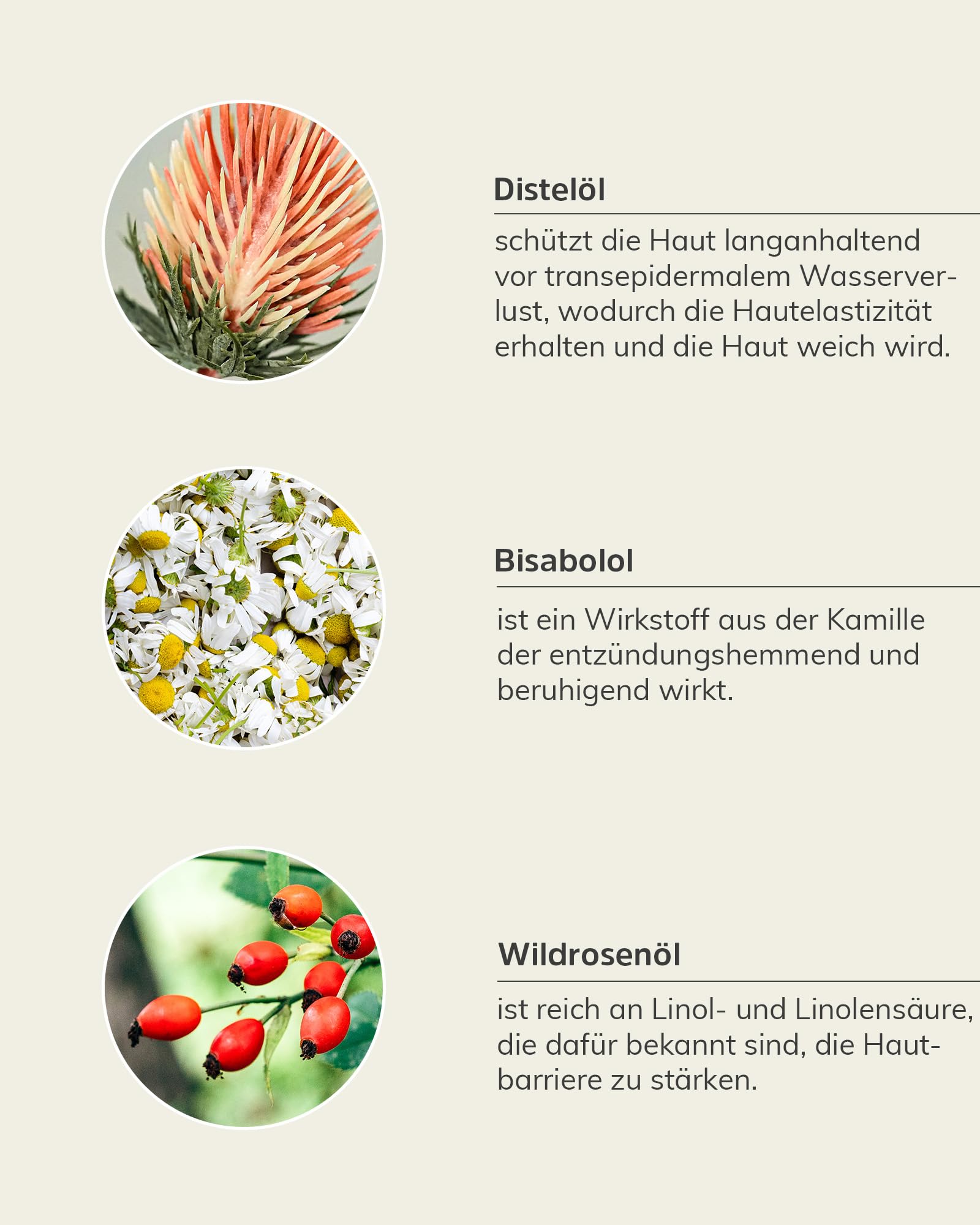 nkm Naturkosmetik München Intensivöl - 30 ml - Gesichtsöl mit Sanddorn - Umfassende Pflege - Vegan - Für alle Hauttypen - Dermatologisch Getestet