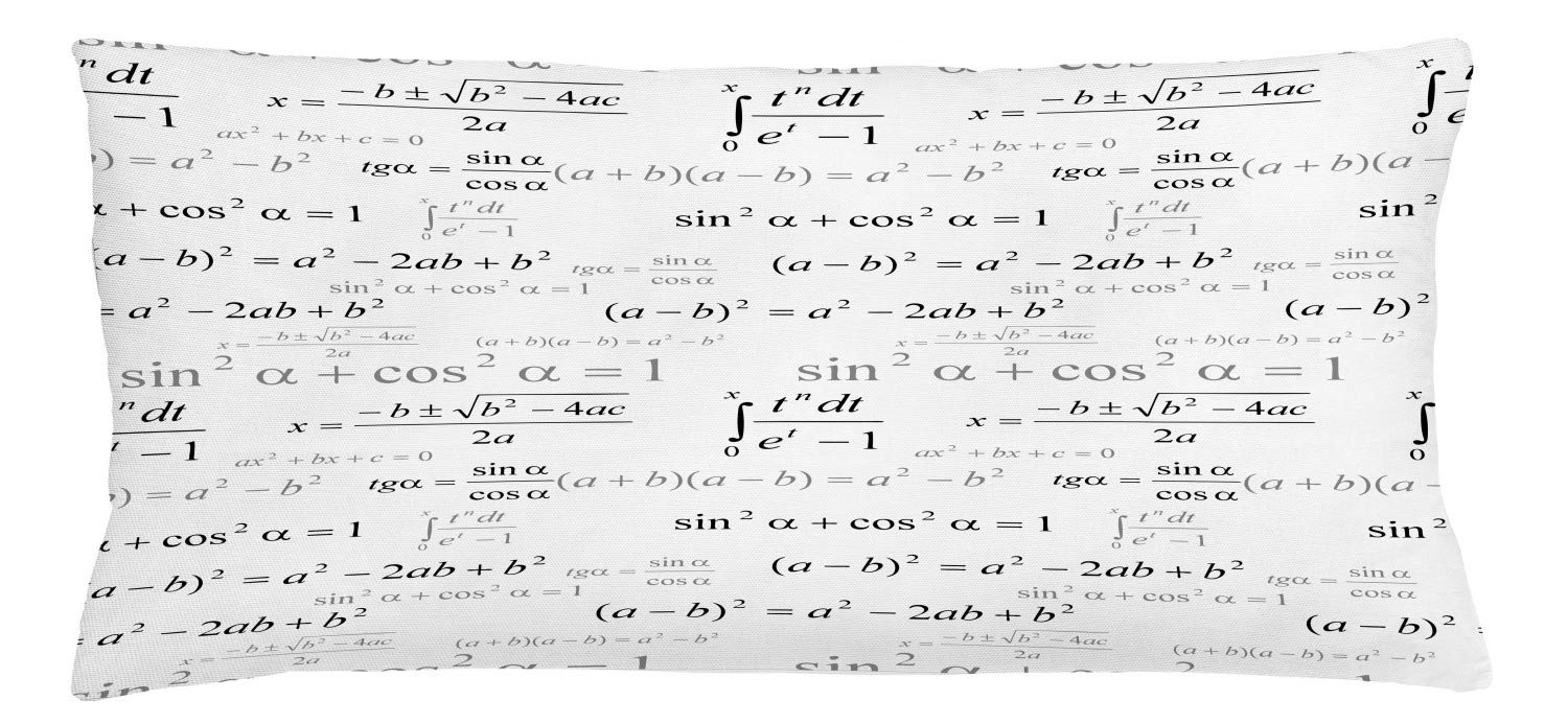 Lunarable Math Themed Throw Pillow Cushion Cover, Minimal Print of Mathematics Geometry Forms Repetitive Science Pattern, Decorative Square Accent Pillow Case, 36