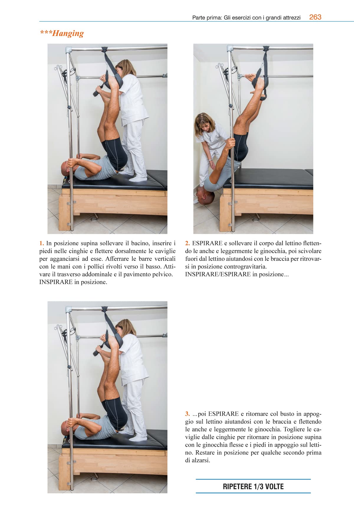 Pilates fisios: la riabilitazione con i grandi attrezzi. Manuale professionale per fisioterapisti