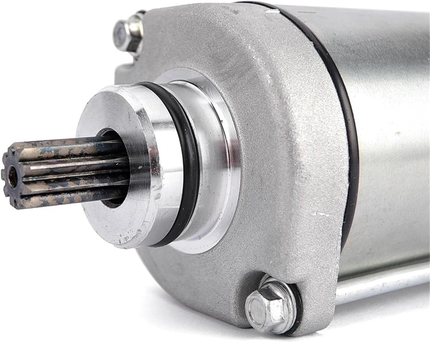 25048】ユッカ アロイフォリア斑入り 多頭マルチヘッド ブランチ6