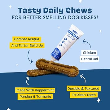 BarkBox Bright Durable Dental Care Kit - for Small Breeds (Up to 25 lbs)