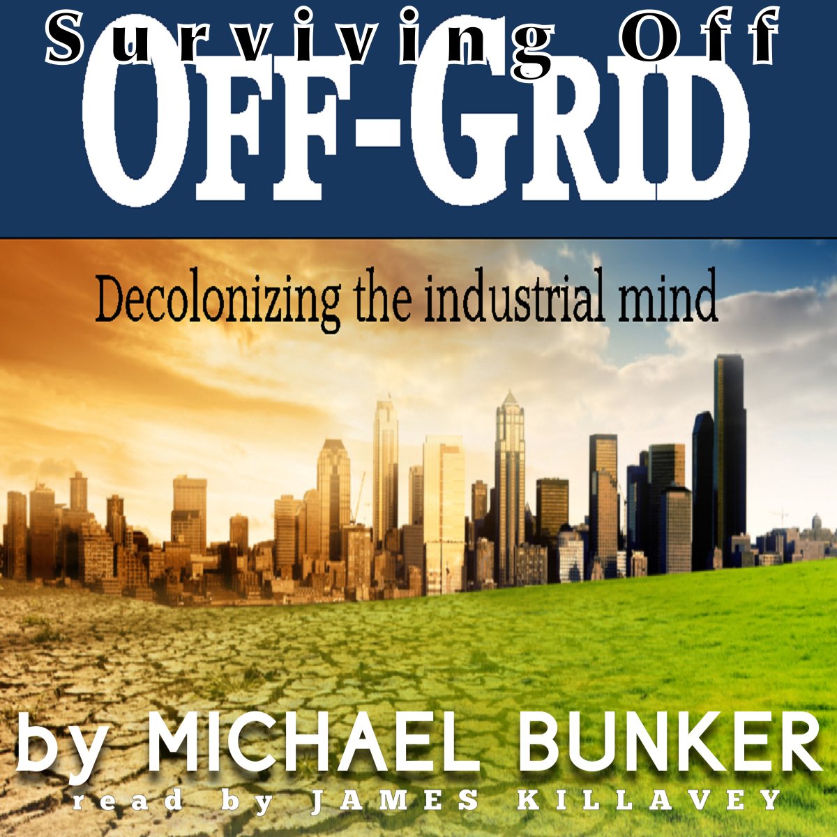 Cover art for Surviving Off Off-Grid