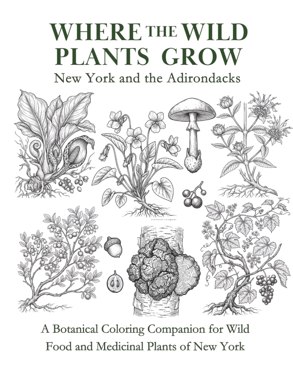 New York and the Adirondacks: Coloring Companion: Wild Food, Medicinal Herbs, Toxic Plants, and Mushrooms of New York (Where the Wild Plants Grow: Illustrated Foraging Guides)