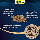 Ver la foto 4