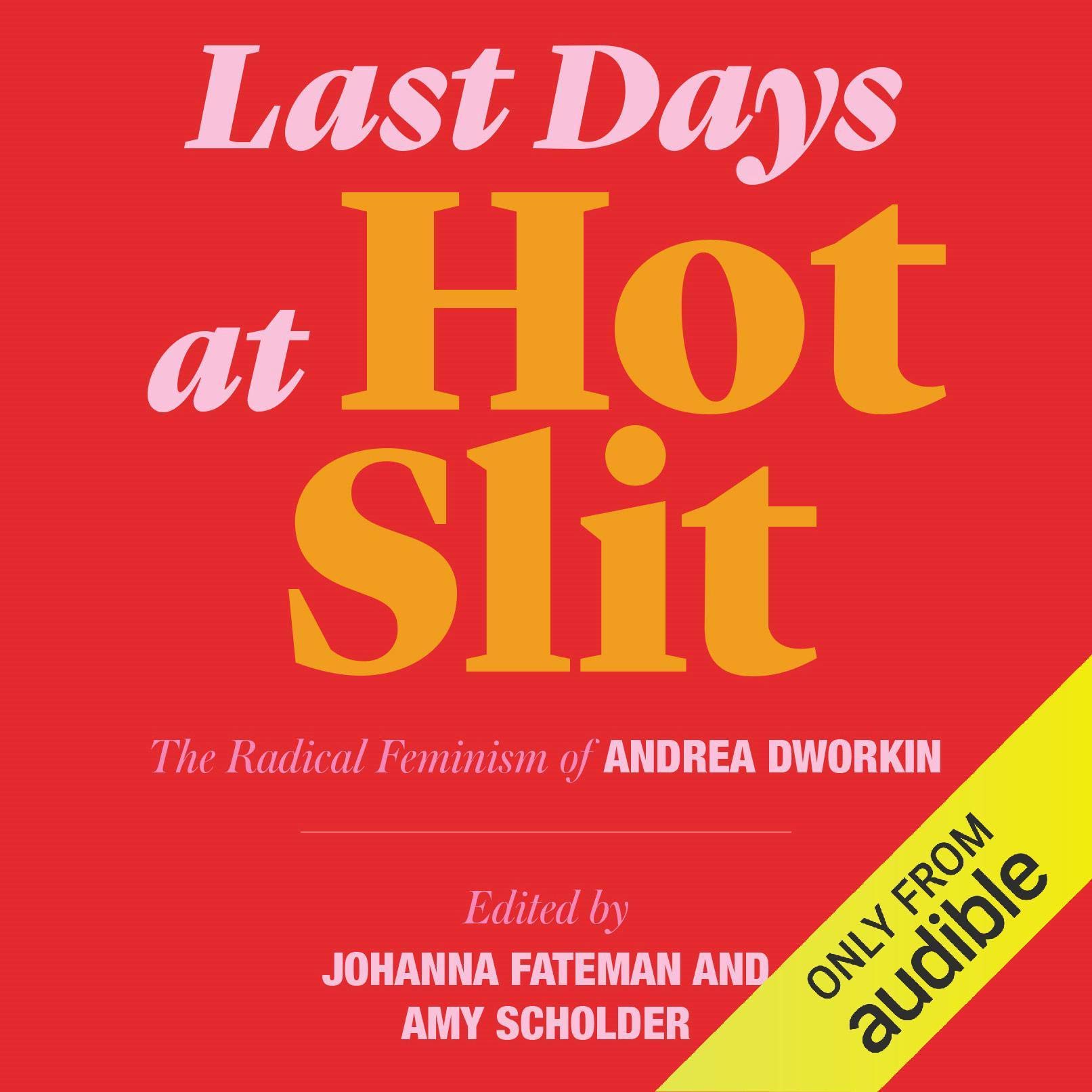 Cover art for Last Days at Hot Slit