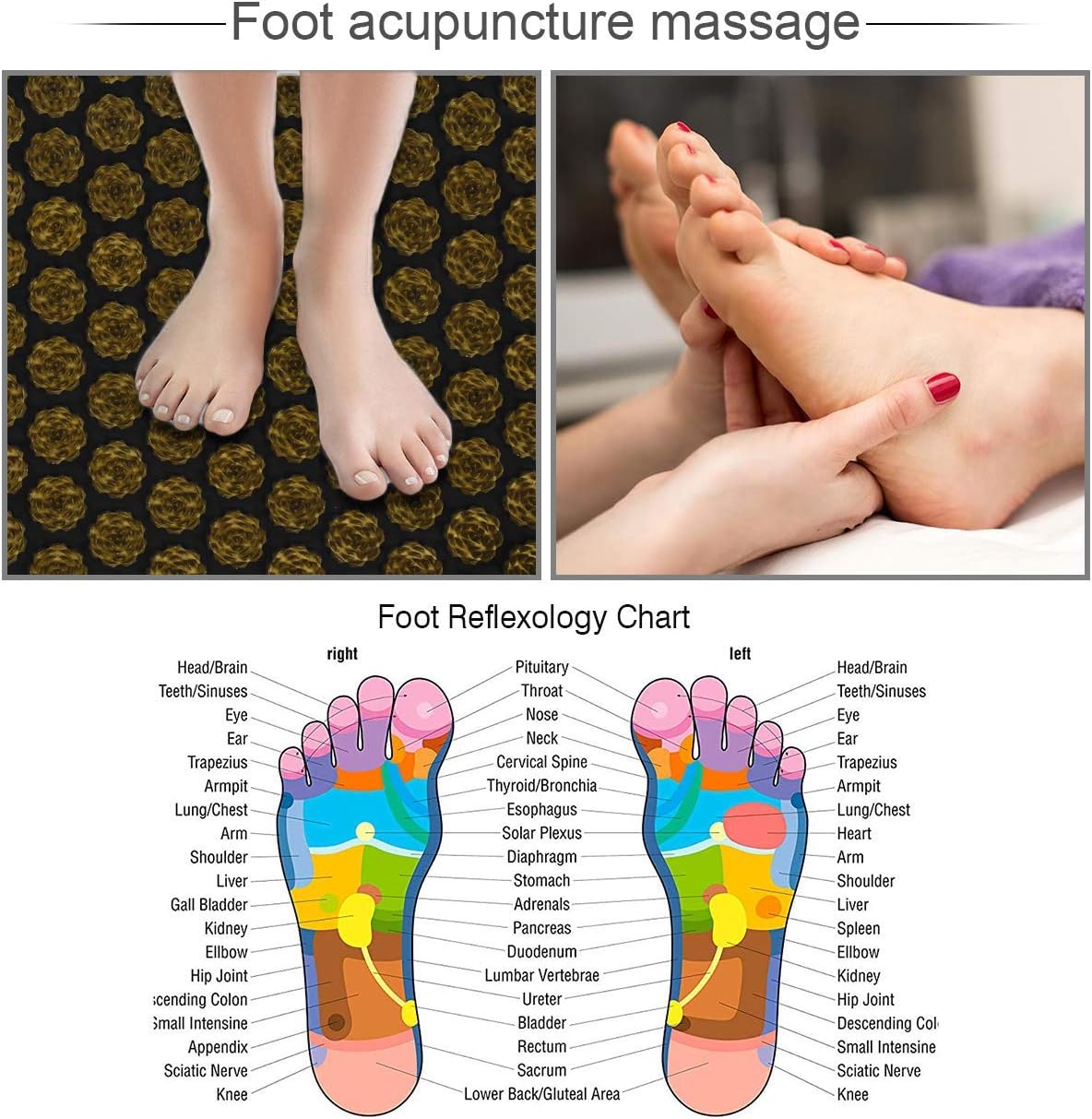 Buy Acupressure Mat And Neck Pillow Set Back And Neck Pain Relief Include Yoga Acupuncture Mat Pillow Backpack For Relieves Stress Sciatic Insomnia Trigger Relaxation Therapy Online In Hungary B0nzhbyp