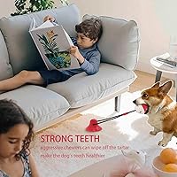 Vista 3 de Juguetes para perros, juguetes masticables para perros para masticadores agresivos, cuerda con ventosa para entrenamiento de cachorros, golosinas