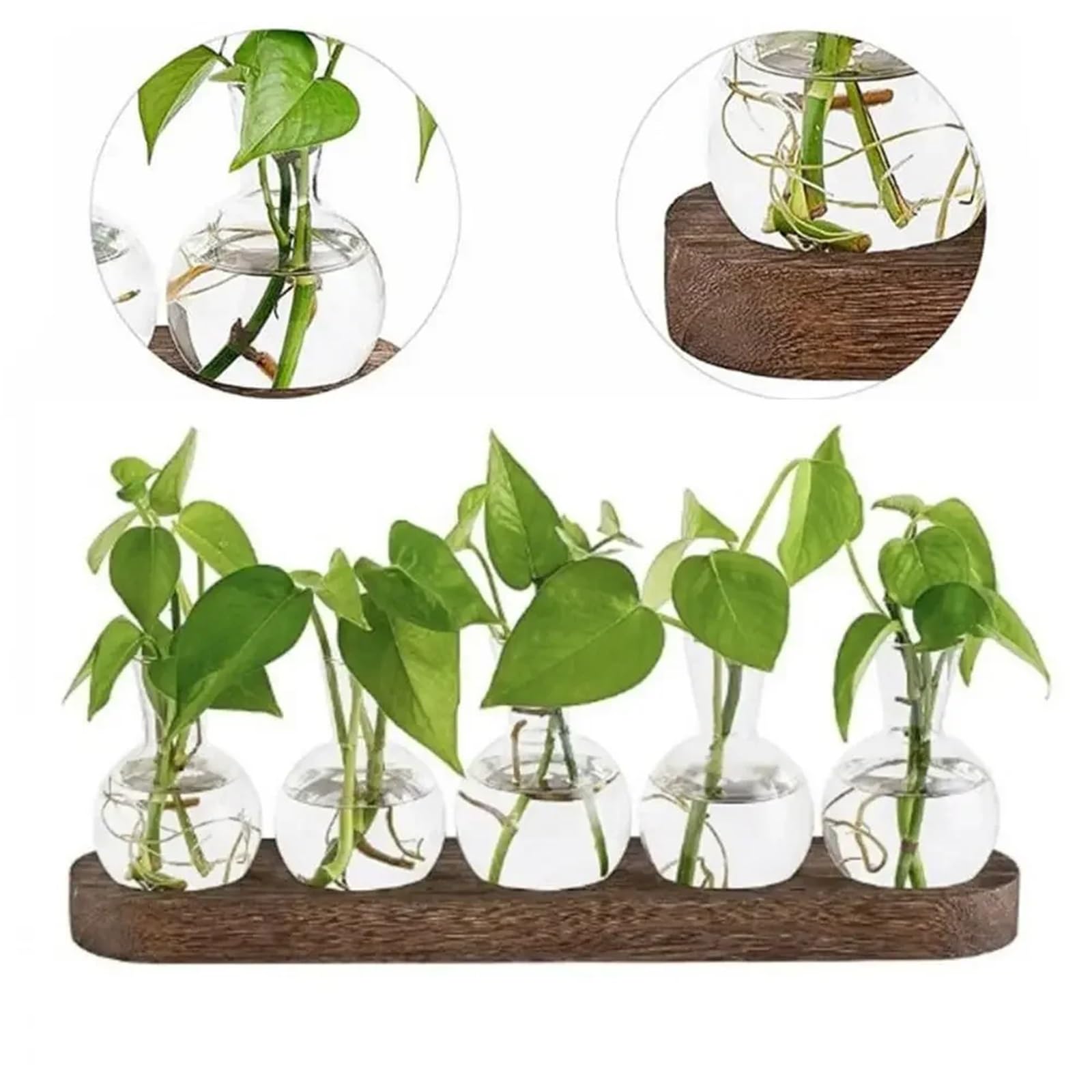 Vase en Verre Vase en Verre hydroponique Transparent Moderne avec Plateau Bois, Station de Propagation créative for Terrarium Plantes(Color2)