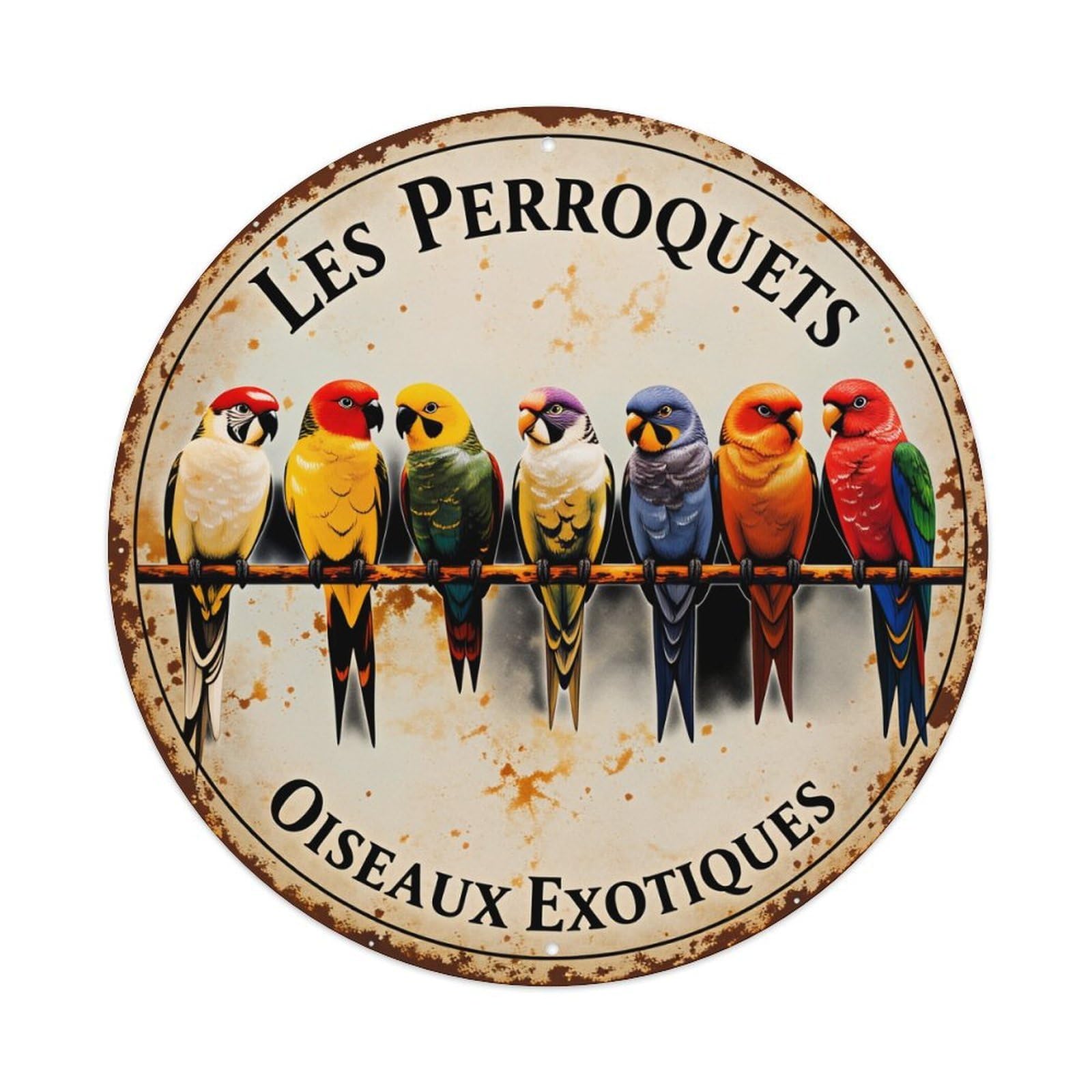 Parrots On Perch Colorful Birds Metal Tin Sign Vintage Garden Bedroom Cafe Bar Man Cave Home Wall Decor Metal Poster 8x8 inches