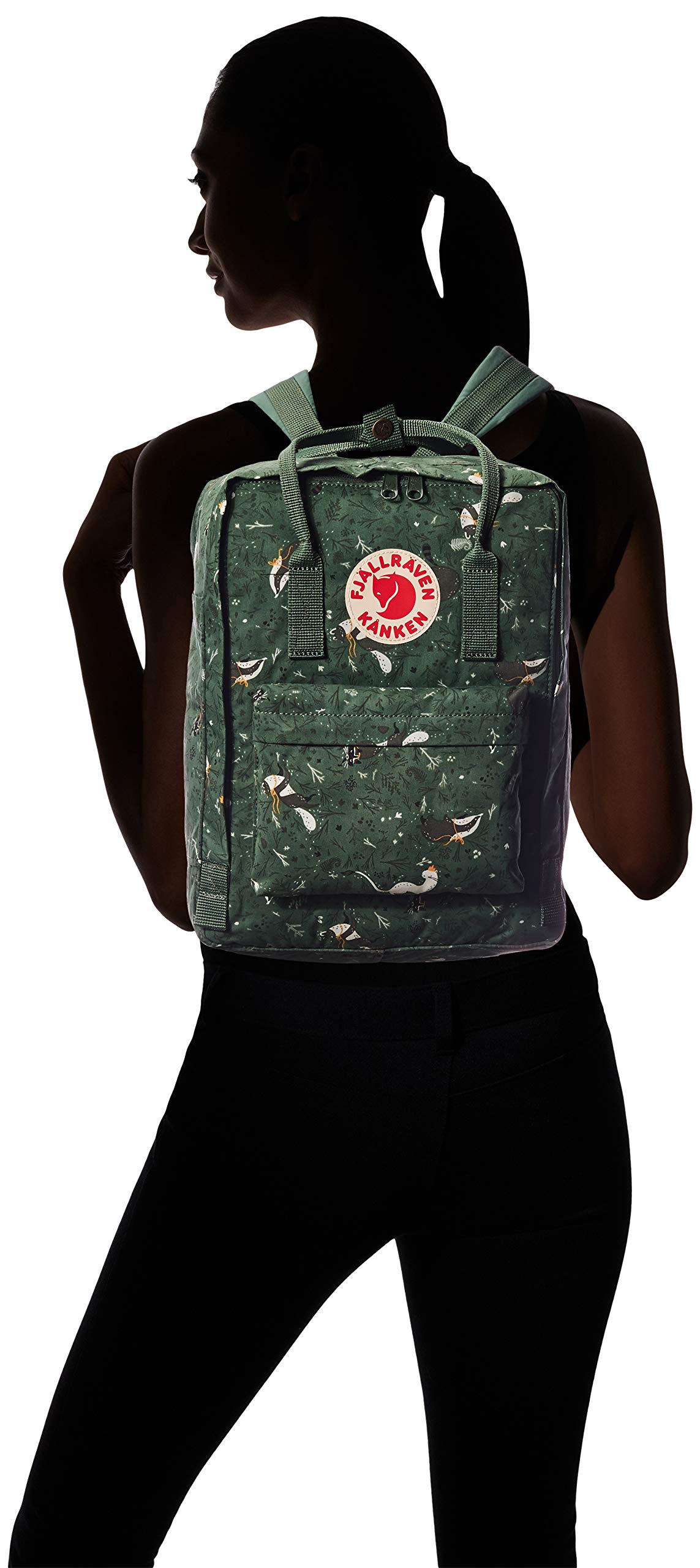 Amazon.com: Fjällräven 13