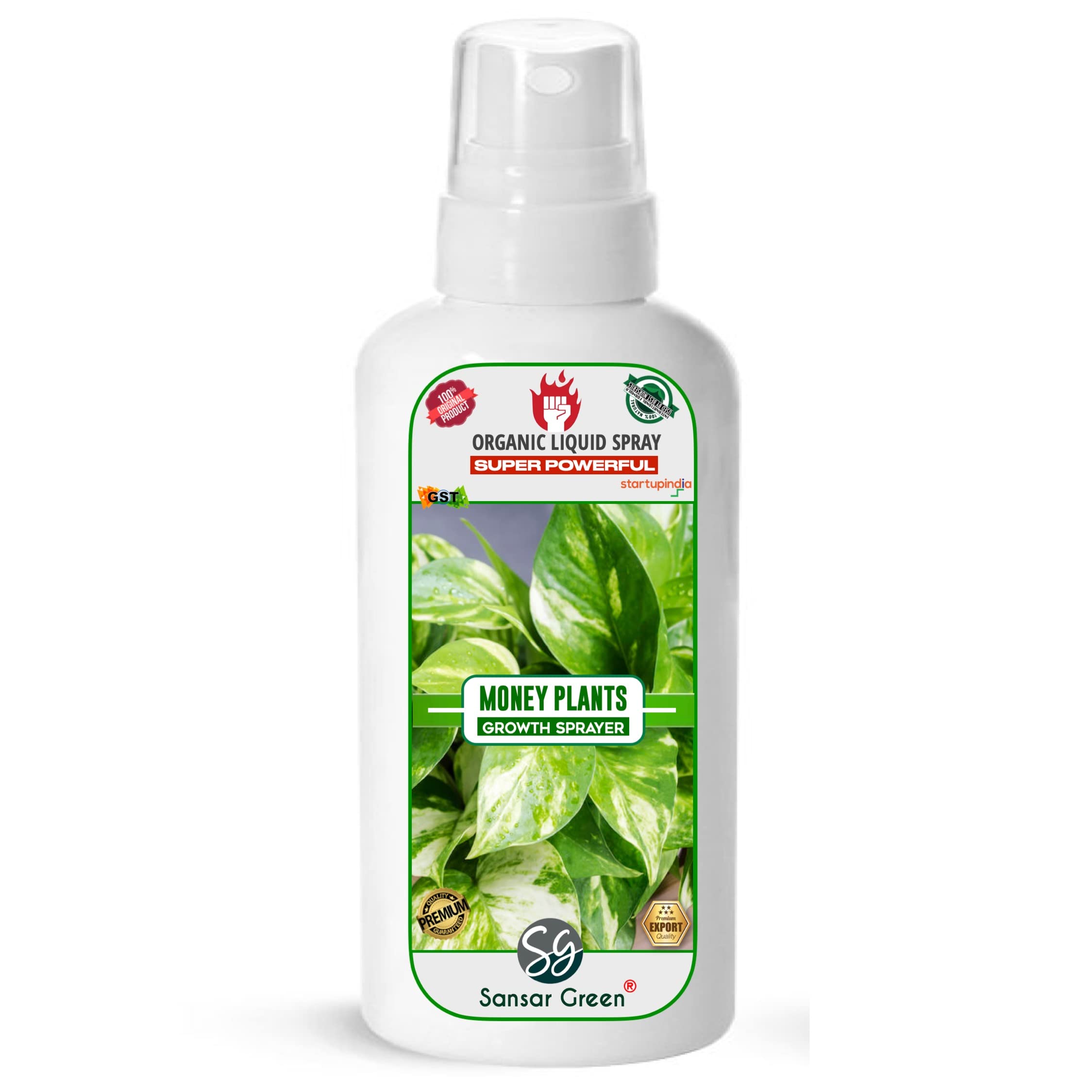 Sansar Green® Money Plant Growth Spray, Premium Essential Super Powerful Liquid Spray for the Best Growth of Money Plants in Soil or in Water (100 ml) (B09H6MXJ9R) Amazon Price History, Amazon Price Tracker