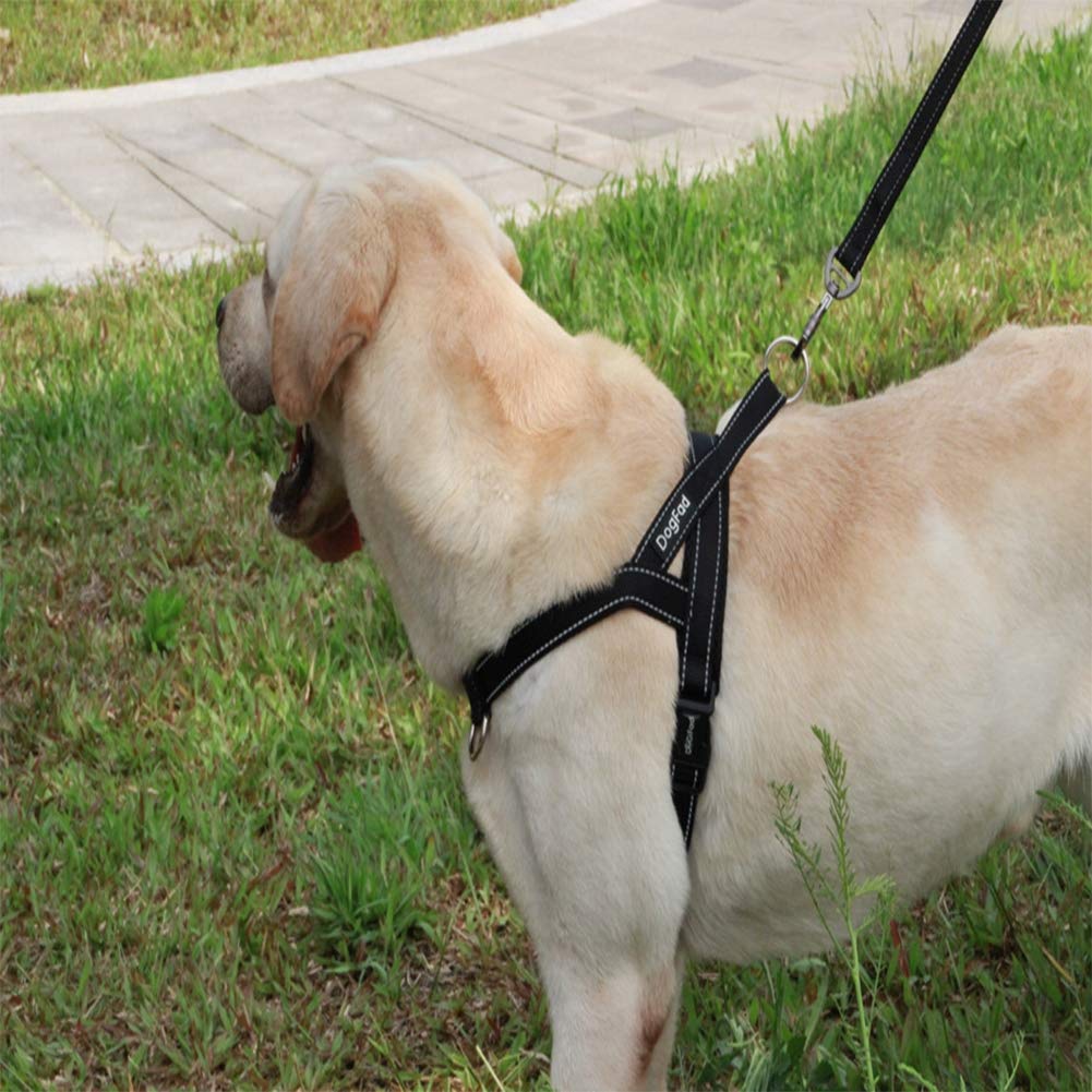 Hond en Kat Verstelbaar Harnas met Leiband Reflecterend en Ademend voor