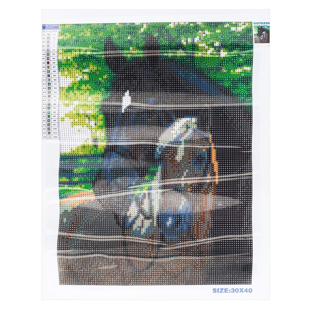 Idee con cuore 5D Diamond Painting | Set di diamond painting | 30 x 40 cm | Schermo con motivo | pietre rotonde | incl. accessori | Diverse immagini a scelta ( cavalli