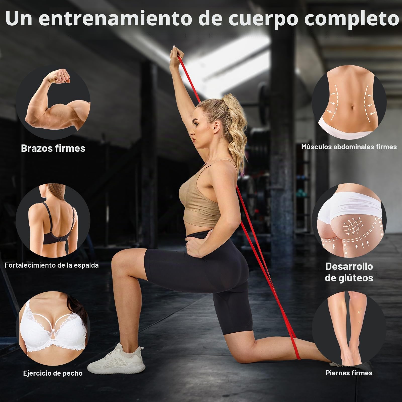 PYHIGH Juego de Bandas de Asistencia para dominadas, 4 Niveles de Resistencia, Bandas largas para dominadas, Entrenamiento de Fuerza, construcción Muscular, Estiramiento, Terapia