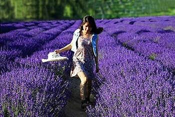 haru　セレニティ、ティーツリー、ラベンダー新品 haru セレニティ、ティーツリー、ラベンダー新品 haru