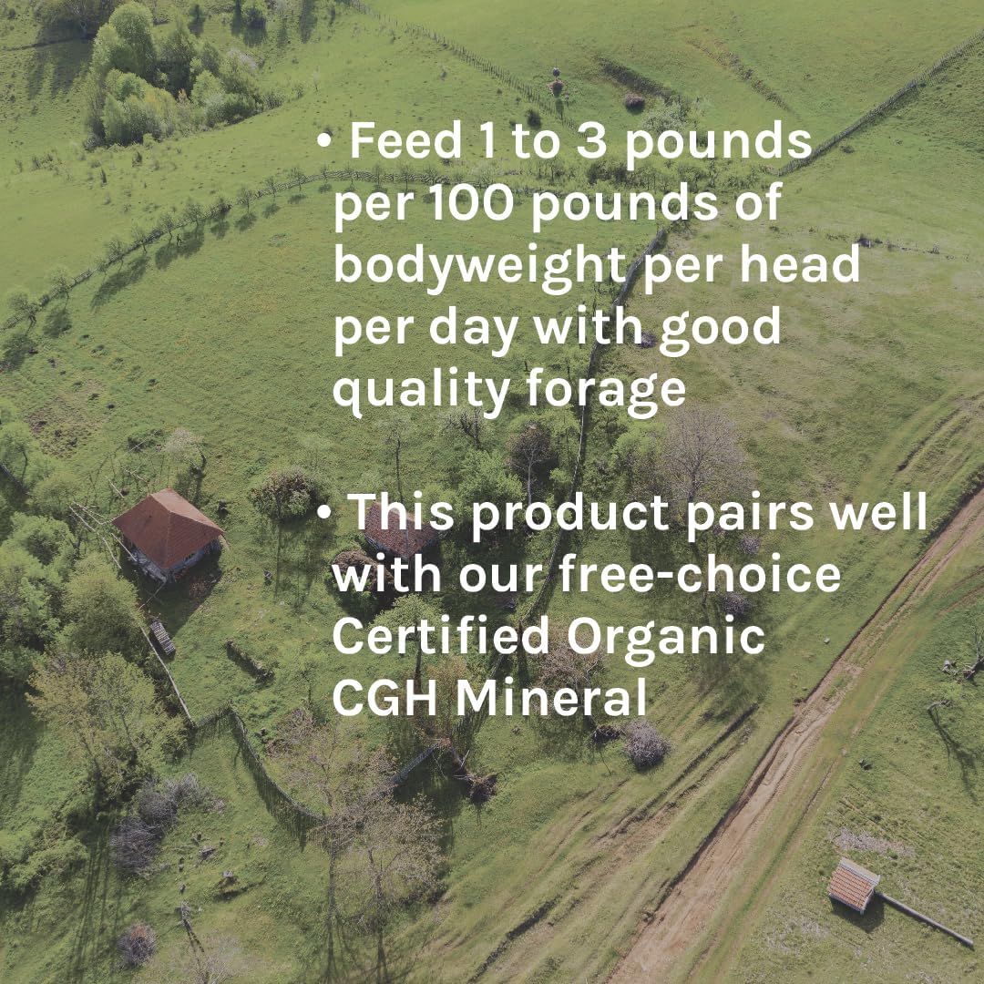 New Country Organics | Maintenance Feed for Cattle | Soy-Free & Corn-Free | 14% Protein | Certified Organic and Non-GMO | 40 lbs