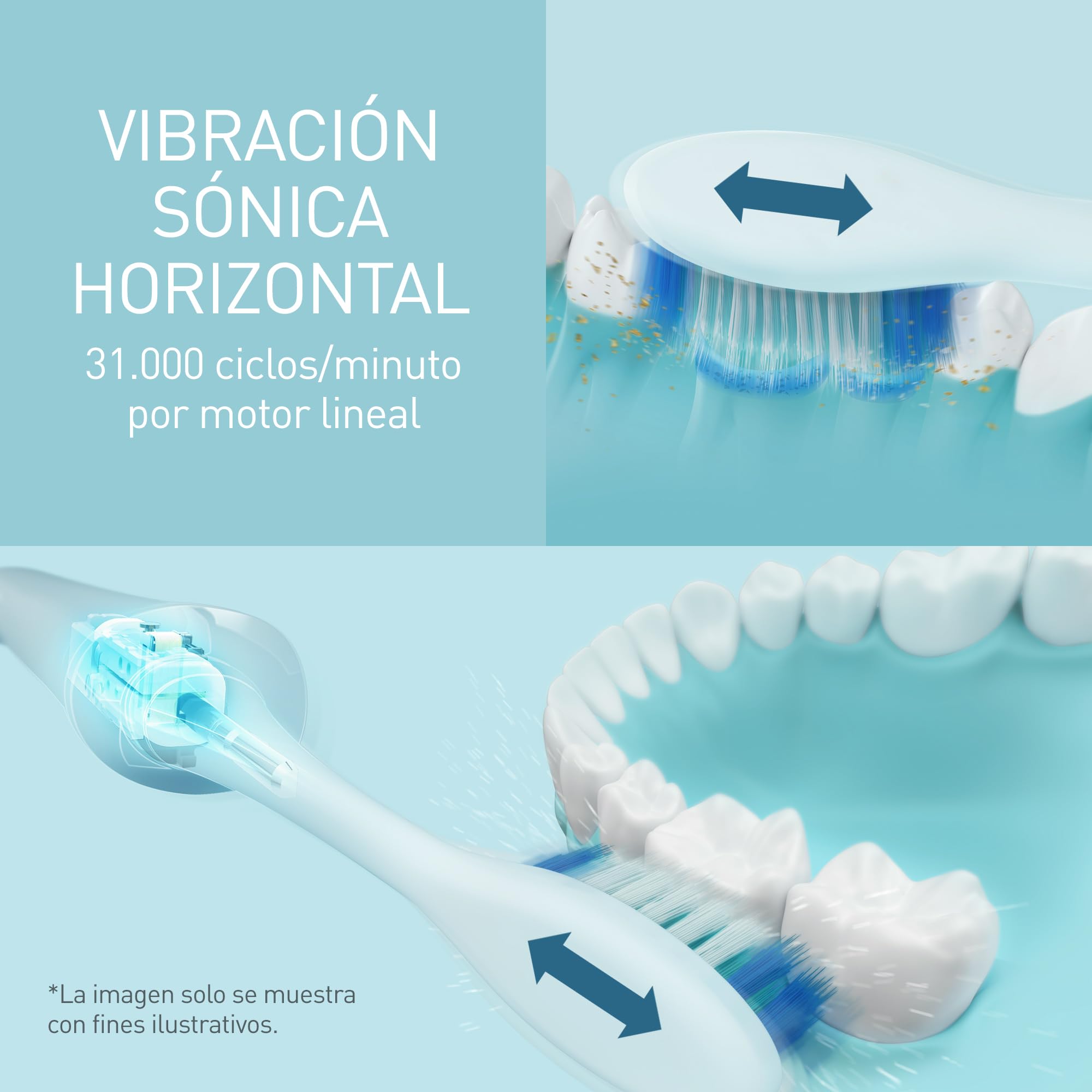 Panasonic EW-DC12 Cepillo de Dientes Eléctrico con Vibraciones Sónicas (3 Modos de Uso, Recargable, Movimiento Horizontal, Limpieza Profunda de la Boca), Blanco