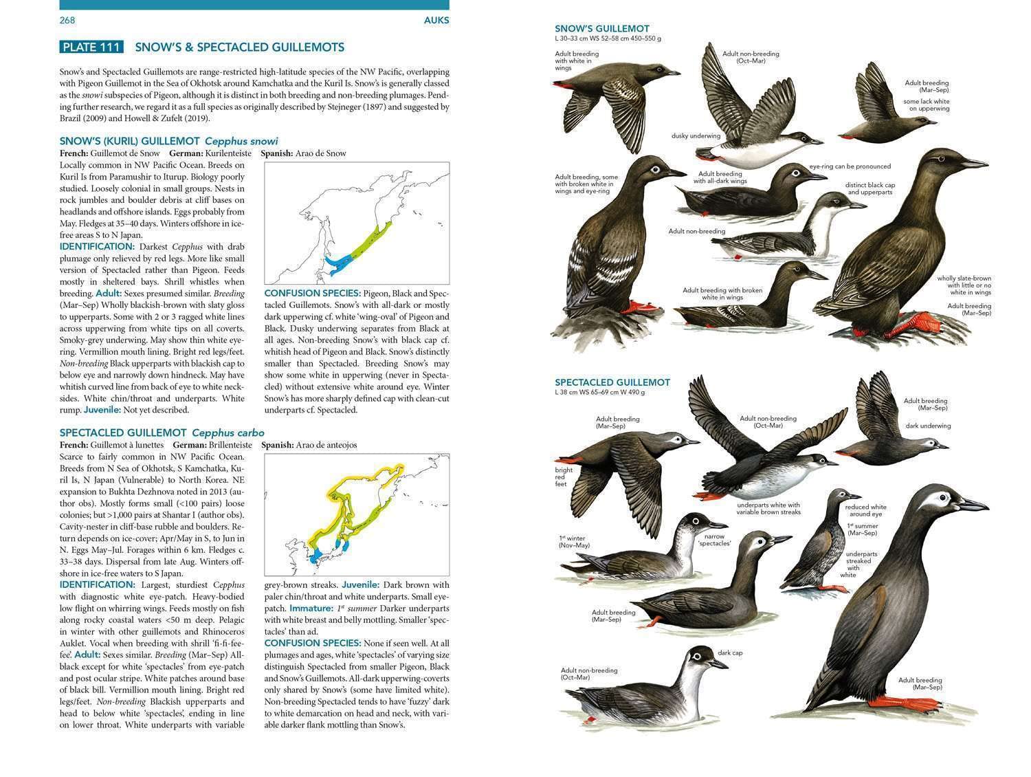 Seabirds. The New Identification Guide