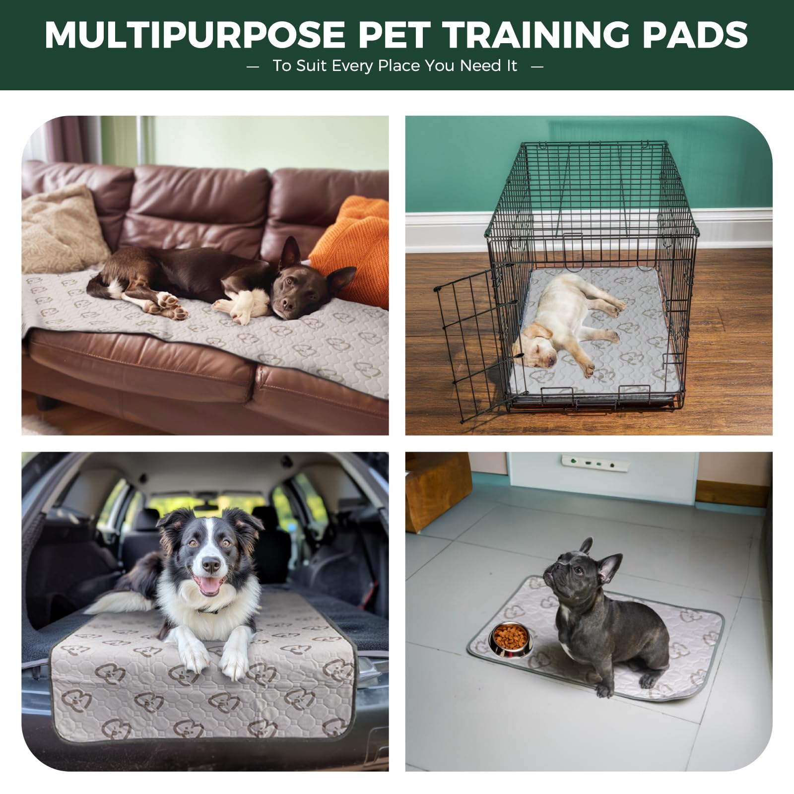 Flamma FSO3 Delay Guitar Effects Pedal (Nashville, Tennessee