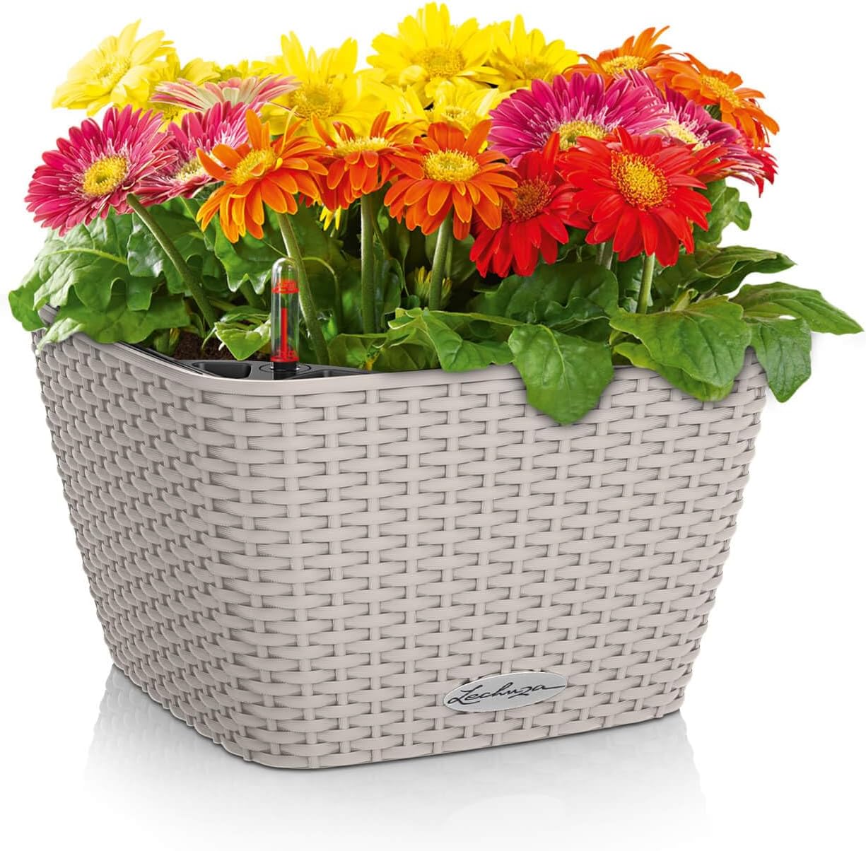 Lechuza BACINO Cottage Sand Brown, Self-Watering Square Planter, L11.8 W11.8 H7.1 in