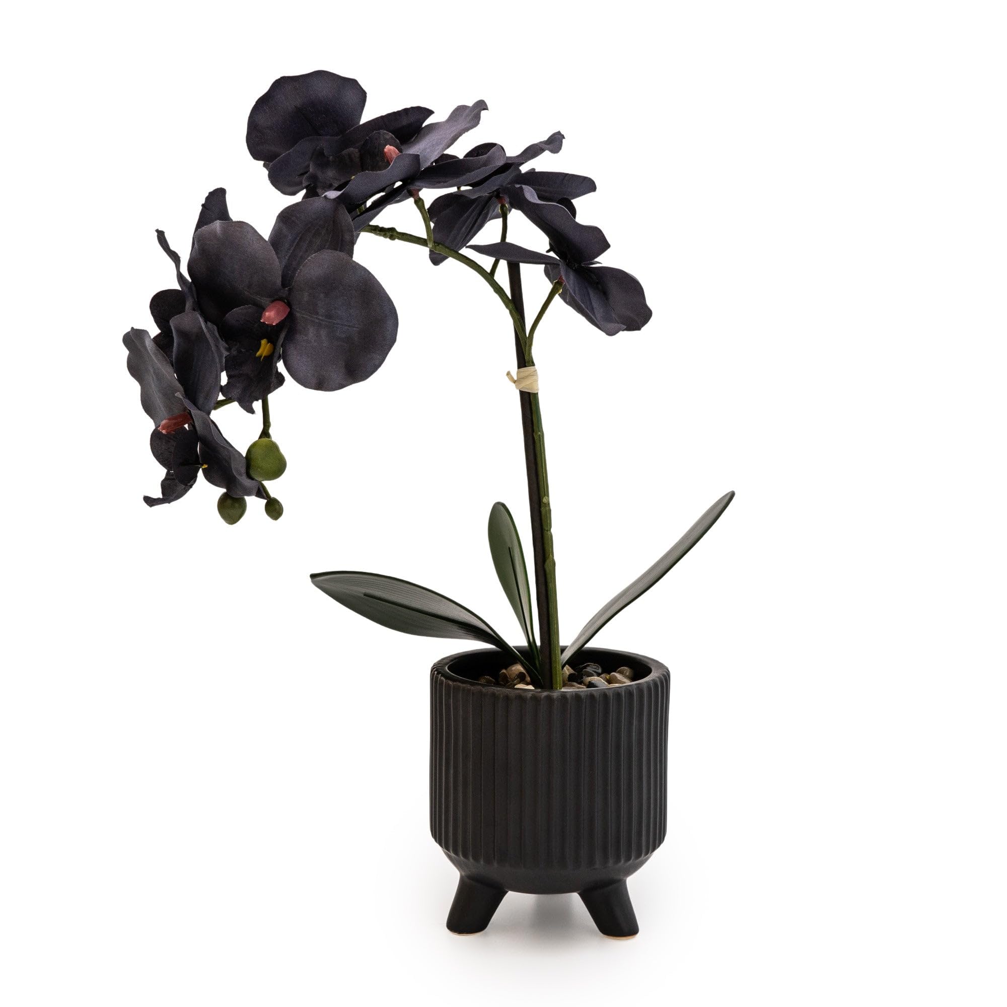 Madison & Mayfair Black Sophisticated Matte Lifelike Orchid In Ceramic Footed Pot