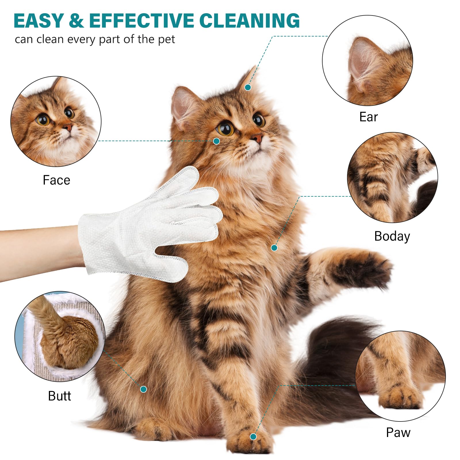 BYZESTY 36 Pièces Gants De Nettoyage pour Animaux De Compagnie, Lingette Chien Chat, Gants Tout-en-Un pour Chien Et Chat, Gants sans Lavage pour Animaux pour Voyages, Nettoyage sans Rinçage
