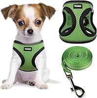 Vista 7 de YIMEIS - Juego de arnés y correa para perro, arnés de malla suave sin tirones, chaleco reflectante ajustable para cachorros, para perros pequeños