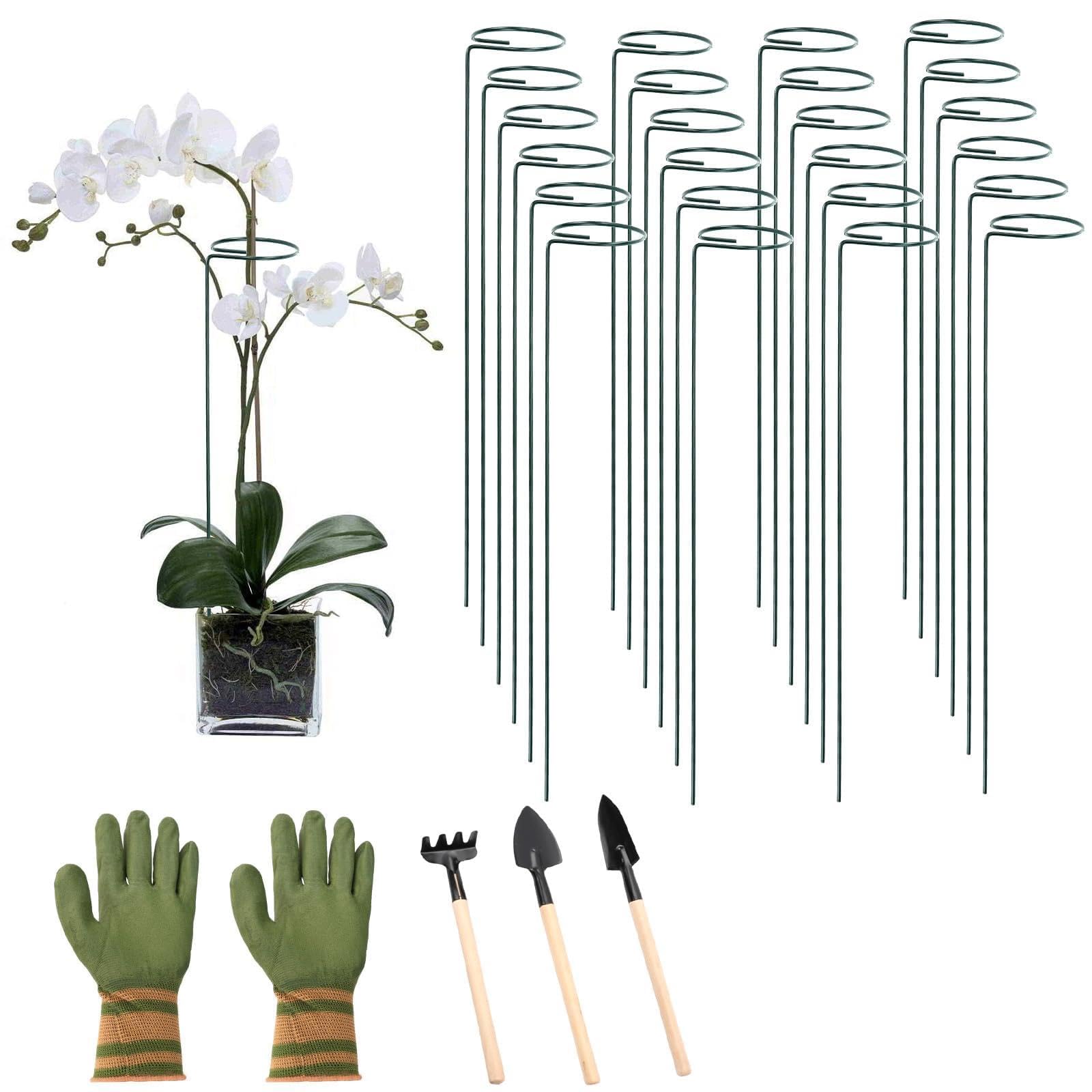 42 supports pour plantes tuteurs droits de 40 cm jardinage