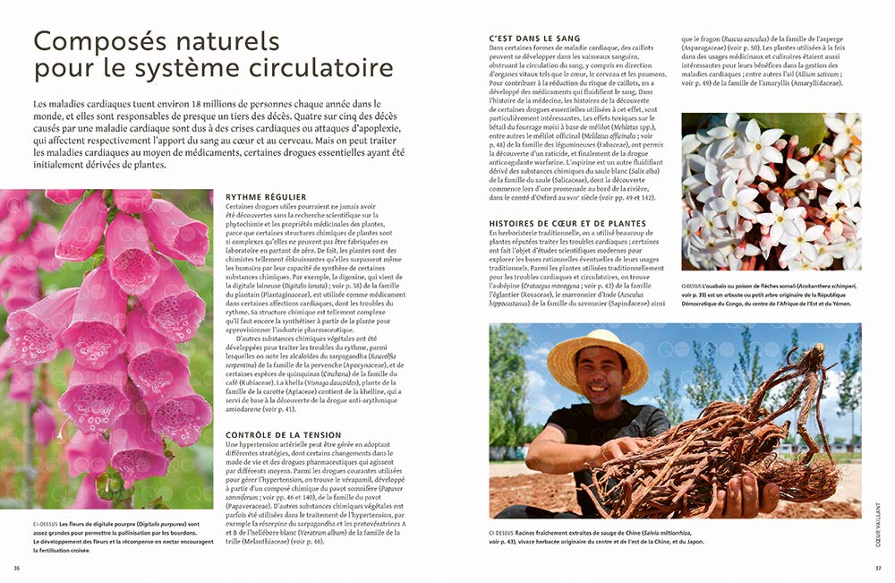 Les plantes qui soignent: Les plantes à l'origine des produits pharmaceutiques et des remèdes naturels