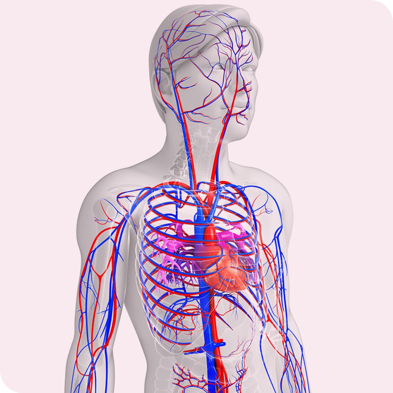 vasoLoges® S Homocystein - 90 Dragees - Kombination zur Homocysteinsenkung - Nahrungsergänzung zur Unterstützung eines normalen Homocystein-Stoffwechsels mit zusätzlichem Vitamin B1