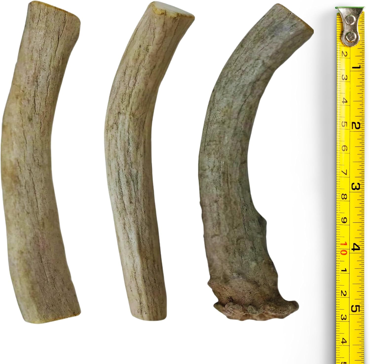 WhiteTail Naturals – Sun Aged Deer Antler Dog Chews (3 Pack Medium) – Budget Friendly Antlers for Dogs - Long Lasting Chew Bones