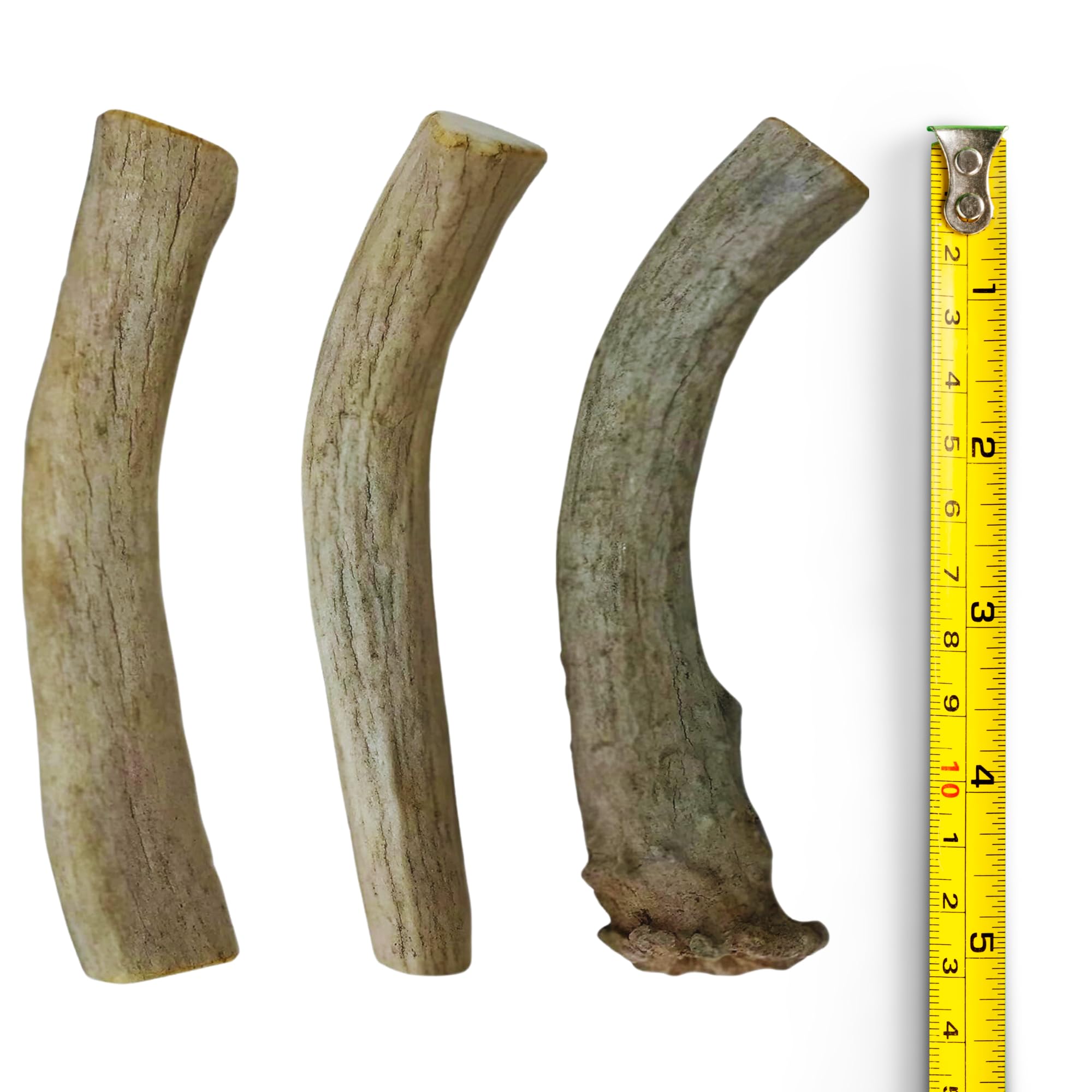 Whitetial Naturals – Lot de 3 boîtes à mâcher en bois de cerf et d'élan pour chien