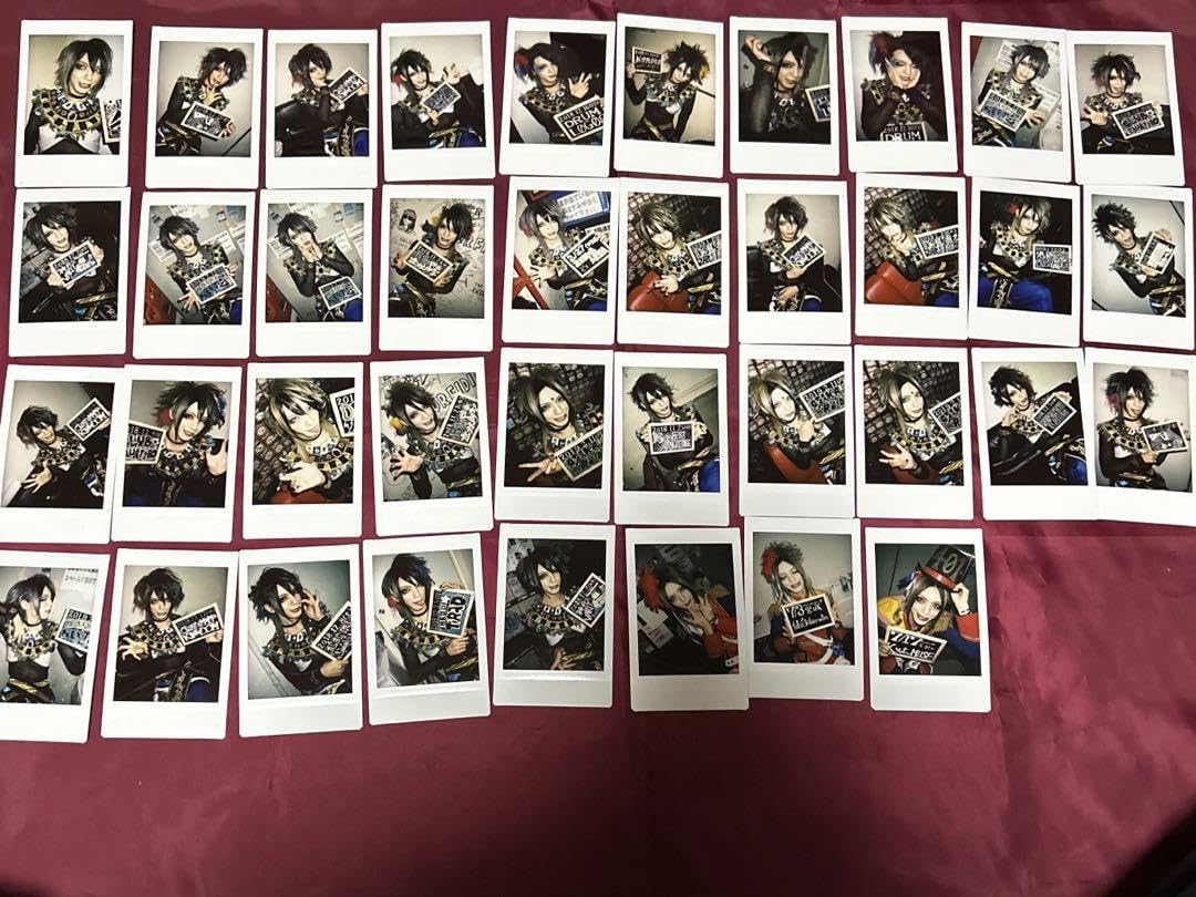 Amazon.co.jp: BabyKingdom 虎丸 チェキ : おもちゃ