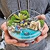 Product Photo 6