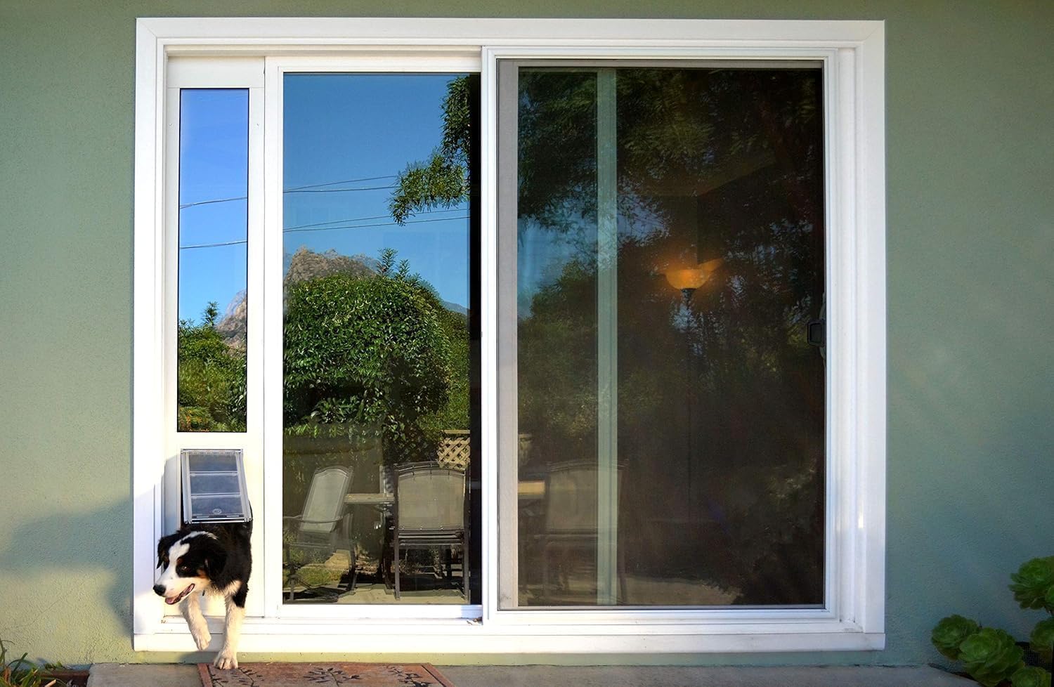 Endura Flap Pet Door for Vinyl Sliding Glass Doors | Weatherproof & Insulated Dog Door for Vinyl Sliders | Durable with Secure Locking Cover | White, XL Flap, 74.75"-77.75" Slider Height