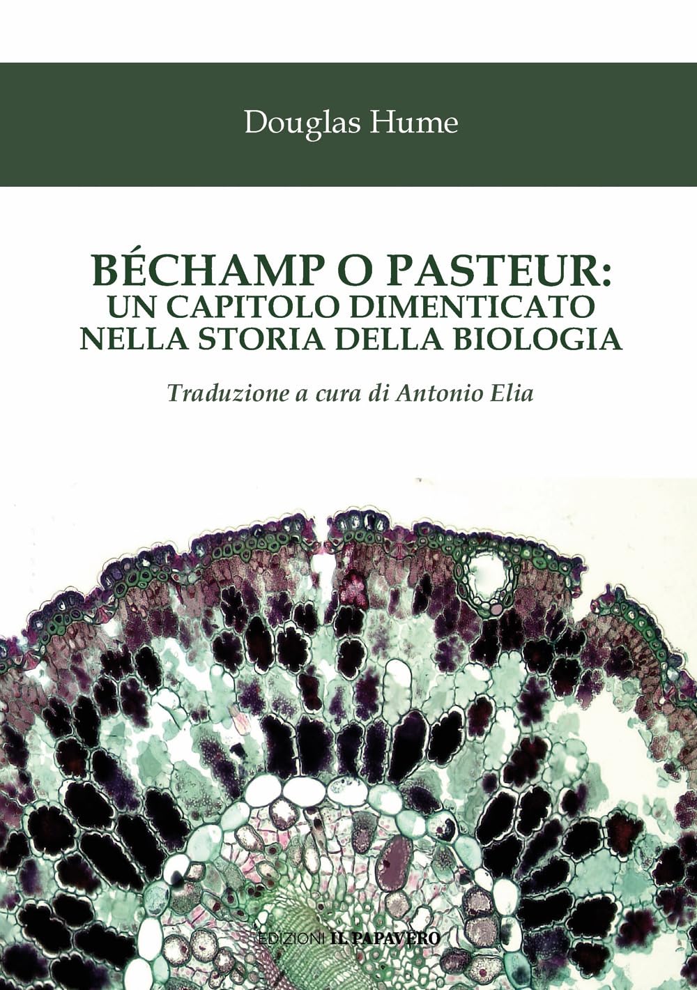 BéChamp O Pasteur: Un Capitolo Dimenticato Nella Storia Della Biologia - 4