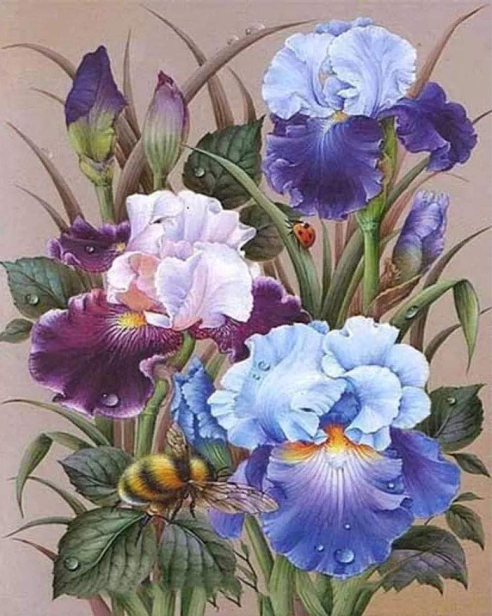 Peinture par chiffres fleur peinture acrylique toile peinture à l'huile DIY