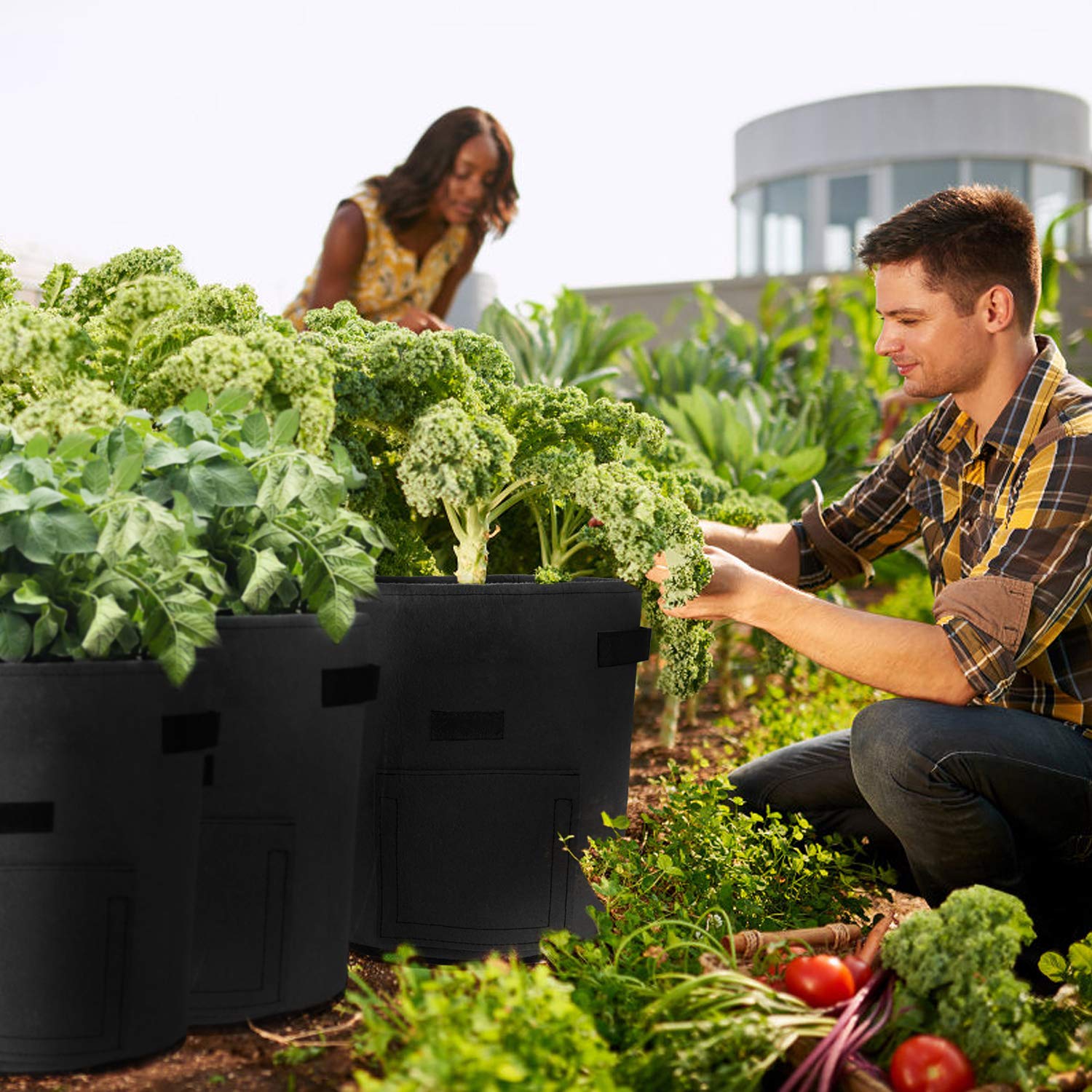 Ru00e9cipients De Plantation Pour Pommes De Terre" - Test Et Avis