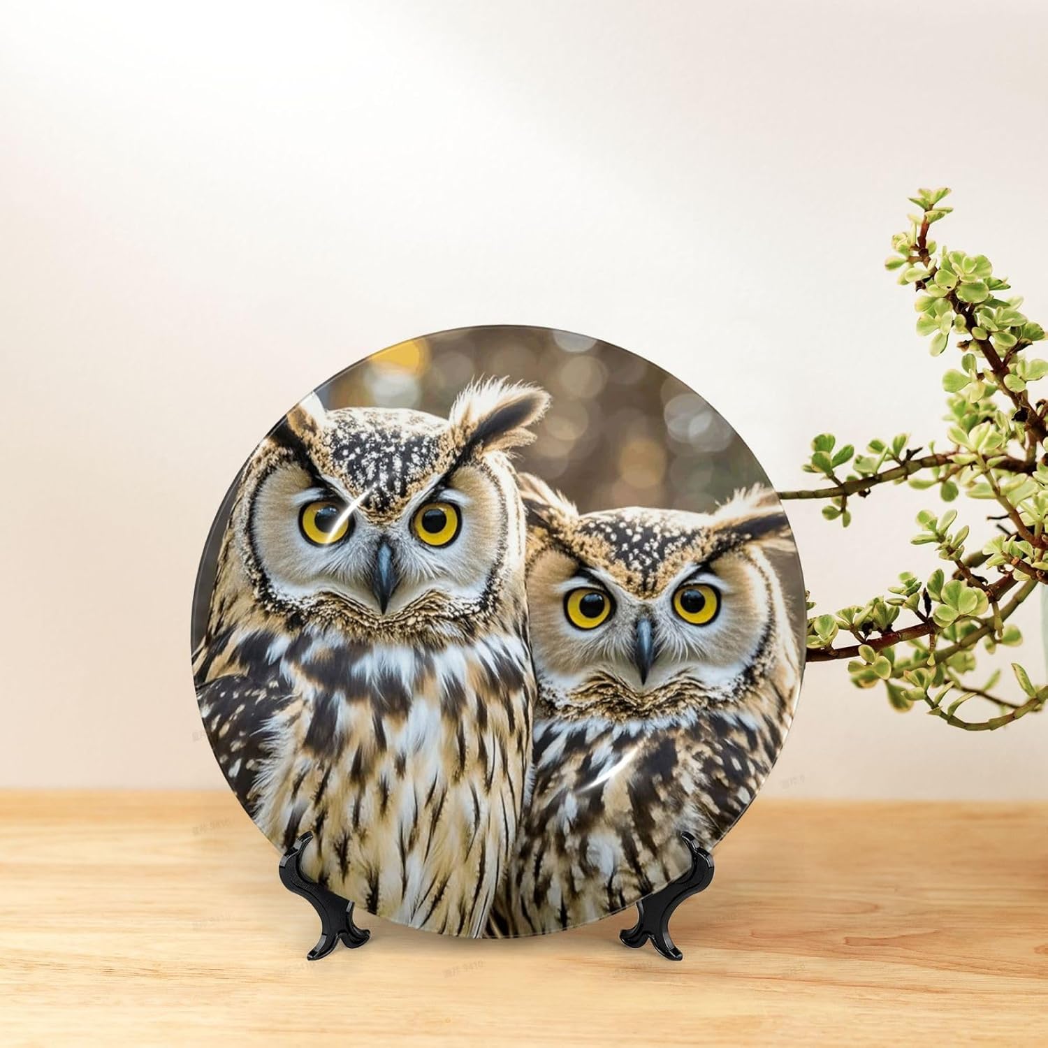 Bone China Decorative Plate with Display Cute Owls Ceramic Plates Crafts Art Decor Dessert Plate Ceramic Ornament Porcelain Plates for Living Room Kitchen Table Home Decor