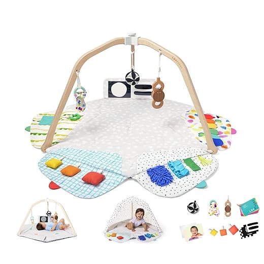 The Play Gym by Lovevery | Stage-Based Developmental Activity Gym & Play Mat for Baby to Toddler, 1 Count (Pack of 1)