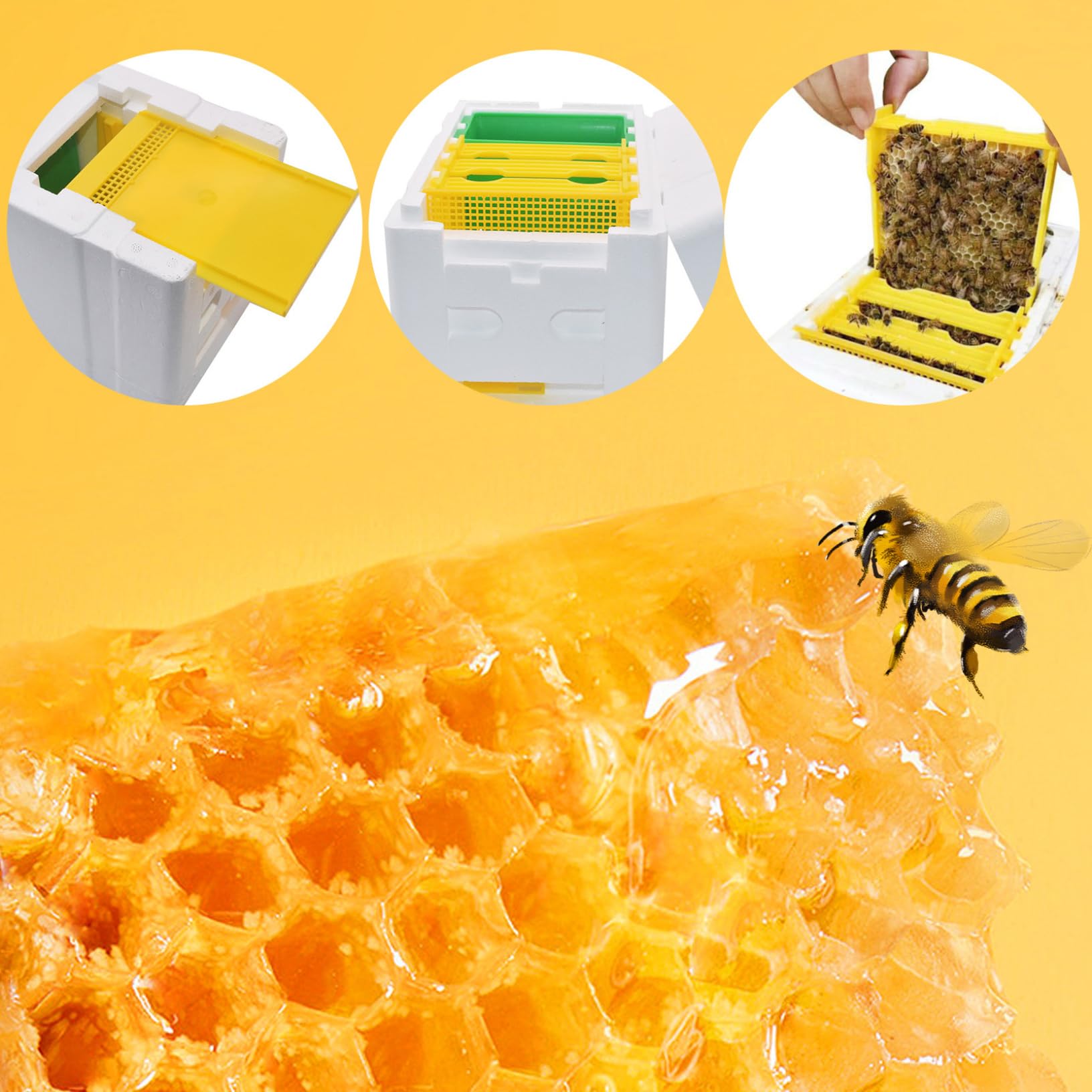 Cassette per api con mangiatoia per acqua, telaio mangiatoia per alveare Mangiatoie per arnie Scatola per alveare a 3 telai con porta a griglia, mini scatola in schiuma per api, forniture