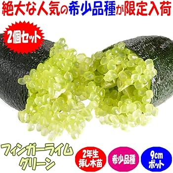 71VLwwMsVoL._AC_UF350, 71VLwwMsVoL._AC_UF350,