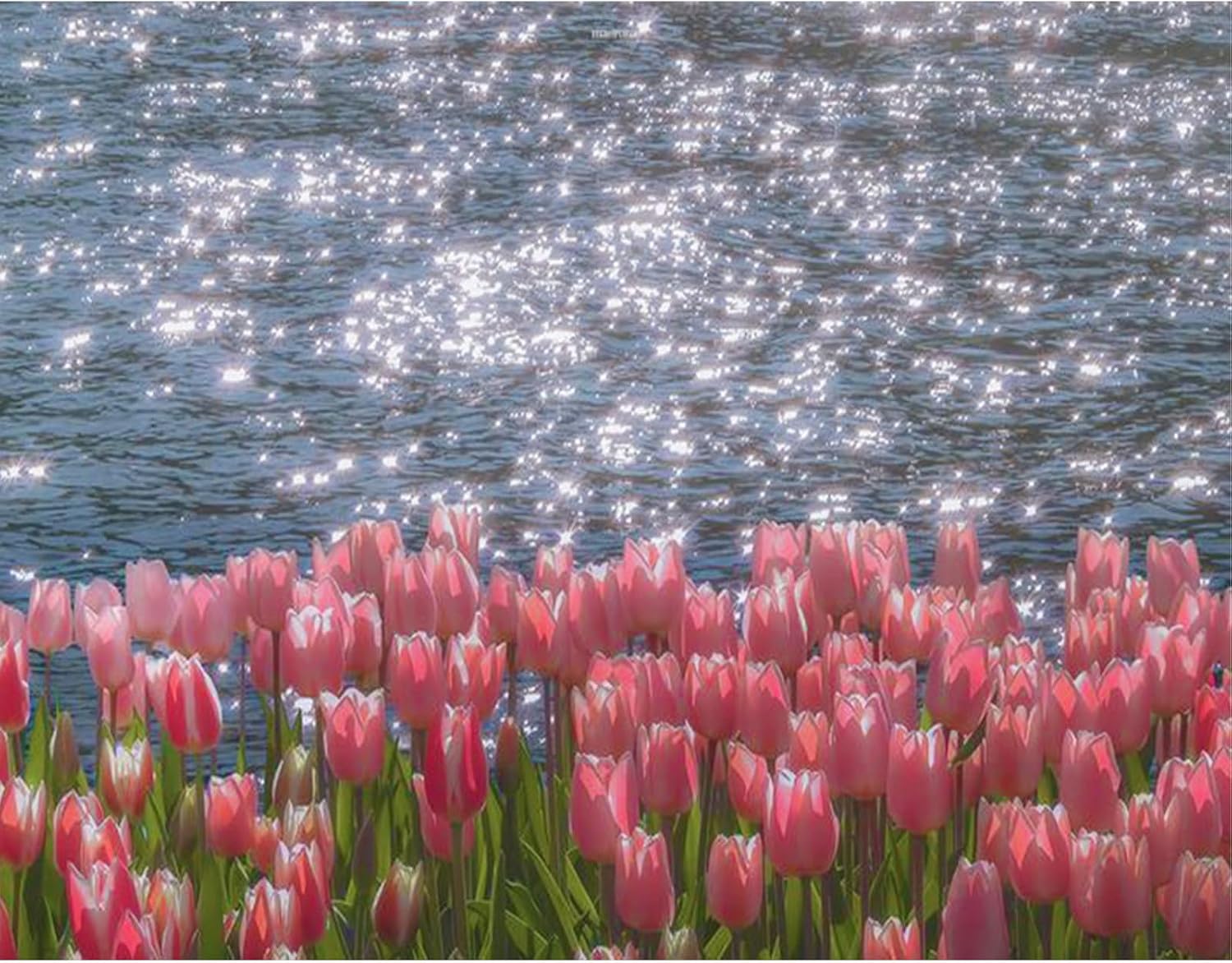 SHEGZHUC 50 x 40 cm Diamond Painting Flowers Tulips by the Sea Diamond Painting Glitter Pictures Diamond Painting Landscape Mosaic Embroidery Cross Stitch Pictures Diamond Painting Art Gift Wall