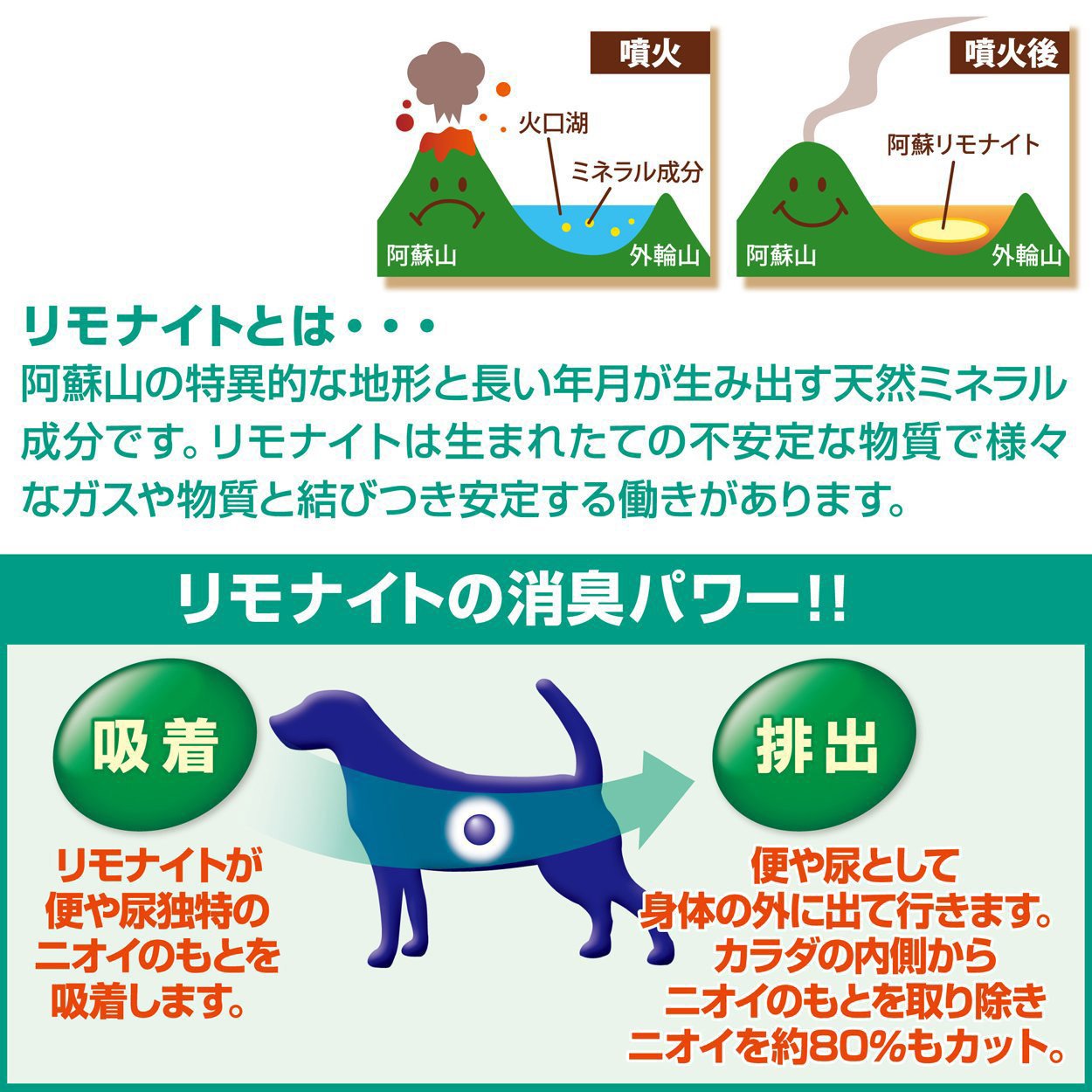 ペティオ (Petio) リモナイトラボ トイ・プードル用 1kgx8袋 半生 Amazon.co.jp: ペティオ (Petio) リモナイトラボ トイ・プードル用 1kg